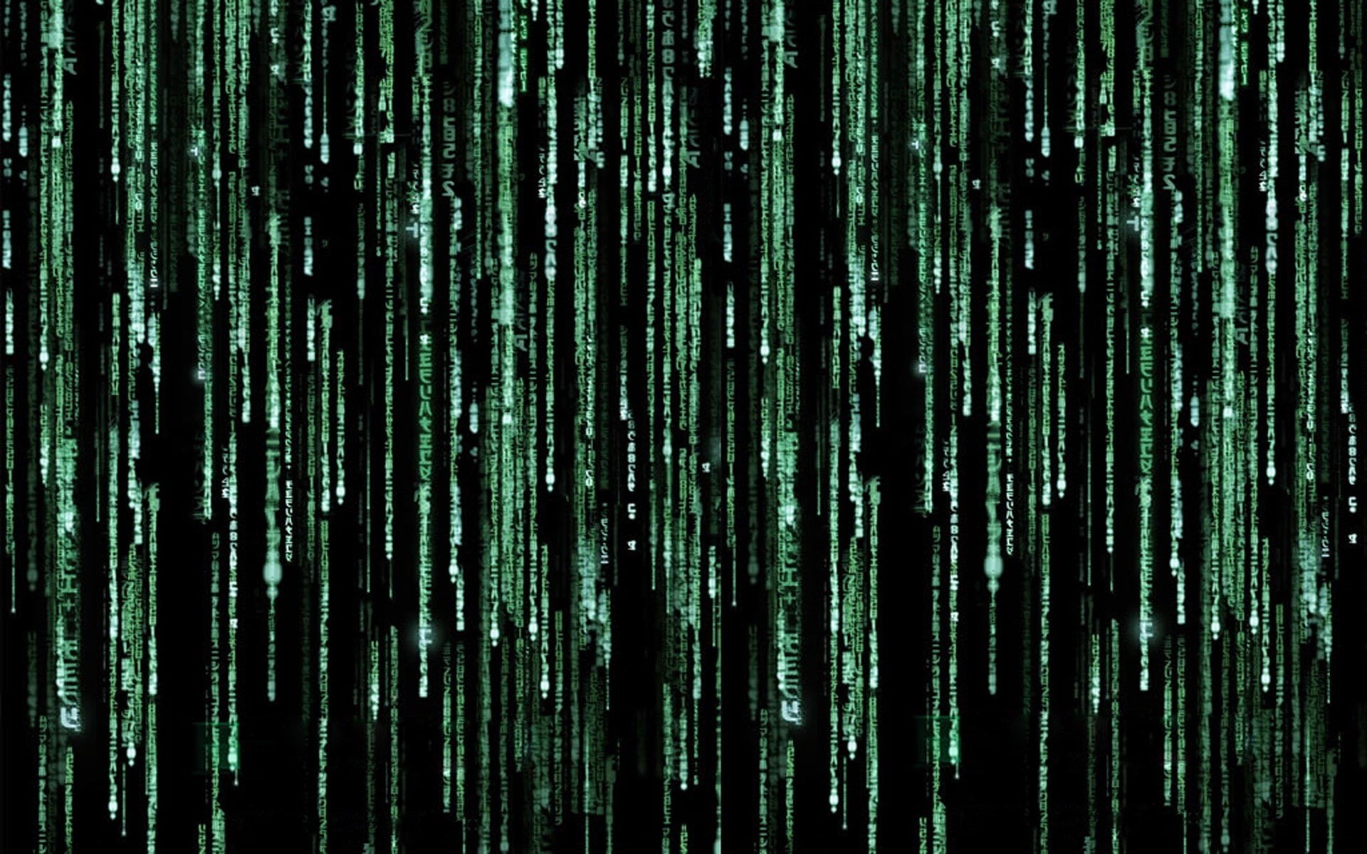 internet, technology, shiny, no people, full frame, repetition, connection, confusion, growth, green color, textured, indoors, backgrounds, bamboo - plant, HD Wallpaper