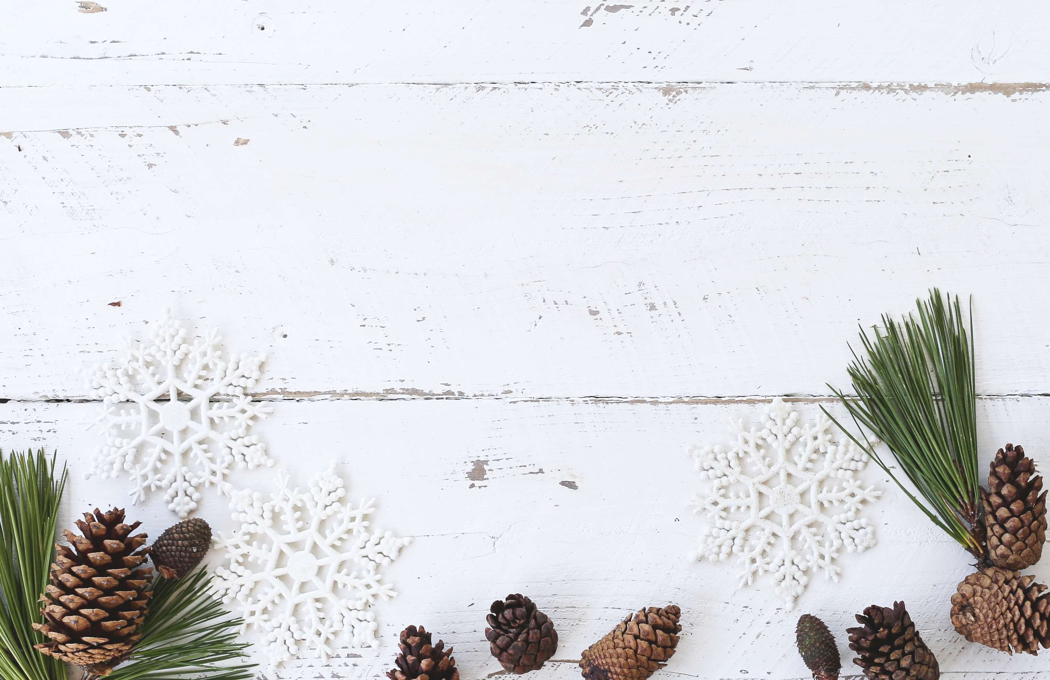 vegetable, agriculture, no people, gardening, freshness, holiday, plant, flatlay, indoors, copy space, table, herb, desk, organic, christmas, healthy eating, HD Wallpaper