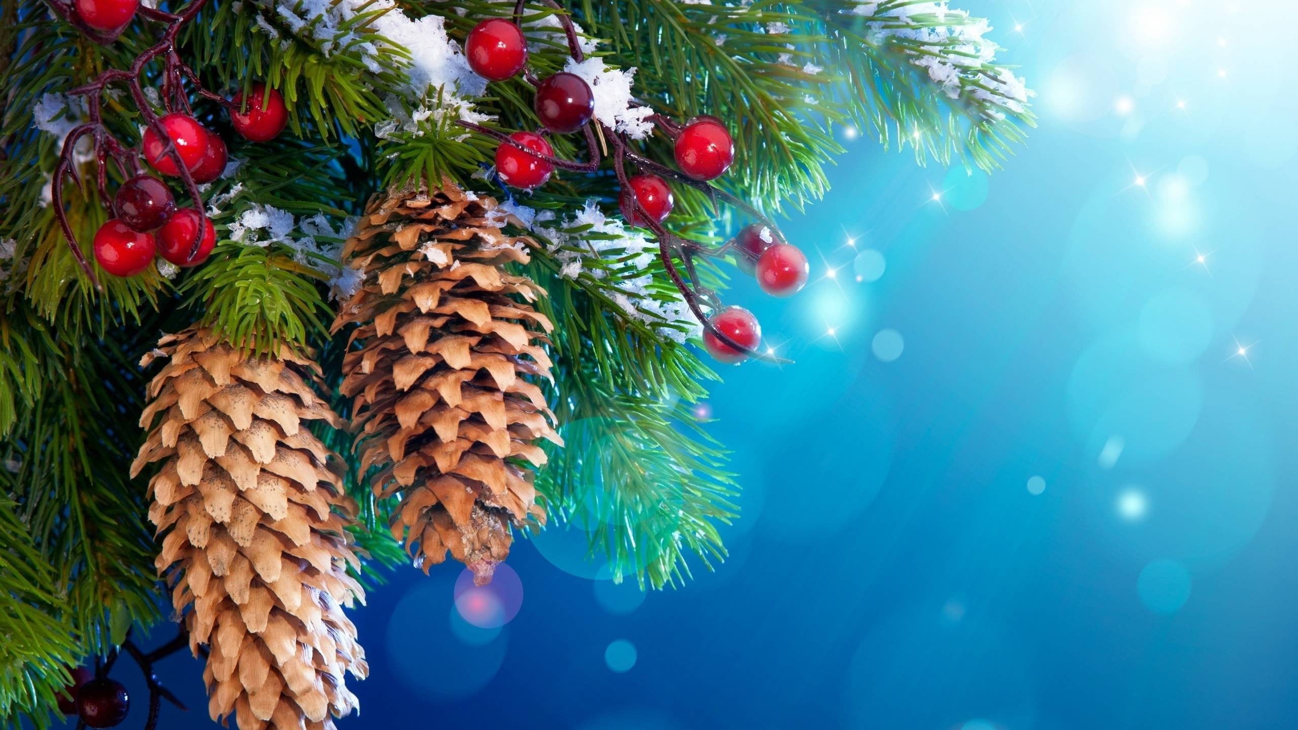 decors, nature, celebration, brown, no people, christmas decoration, decoration, christmas ornament, red, green color, tree, holiday, cones, plant, trees, HD Wallpaper