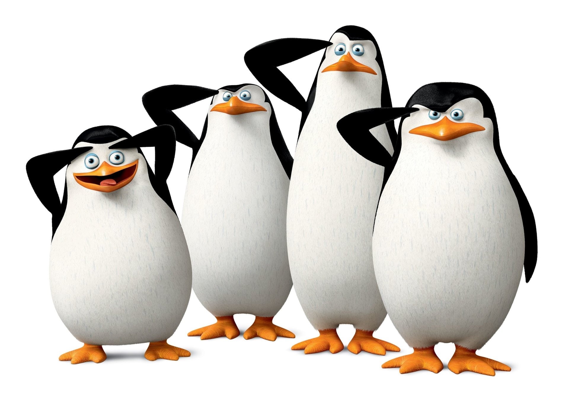 livestock, celebration, food, cut out, egg, studio shot, penguin, animal wildlife, animal themes, Movie, vertebrate, animal, 1080P, bird, Penguins Of Madagascar, HD Wallpaper