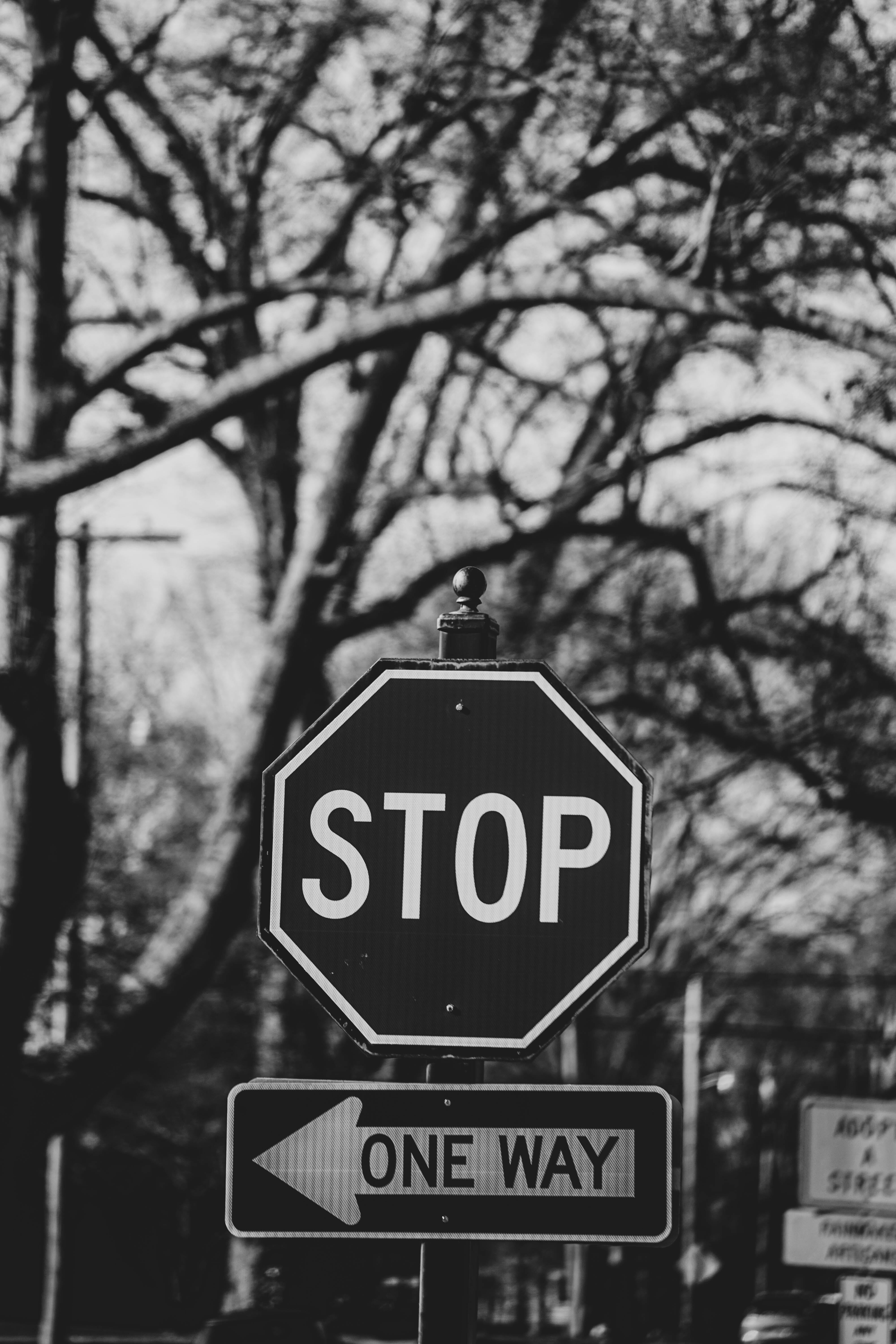 symbol, tree trunk, stopsign, street signs, black and white, no people, information sign, arrow, bandw, town, plant, road sign, communication, road, sign, Phone HD Wallpaper