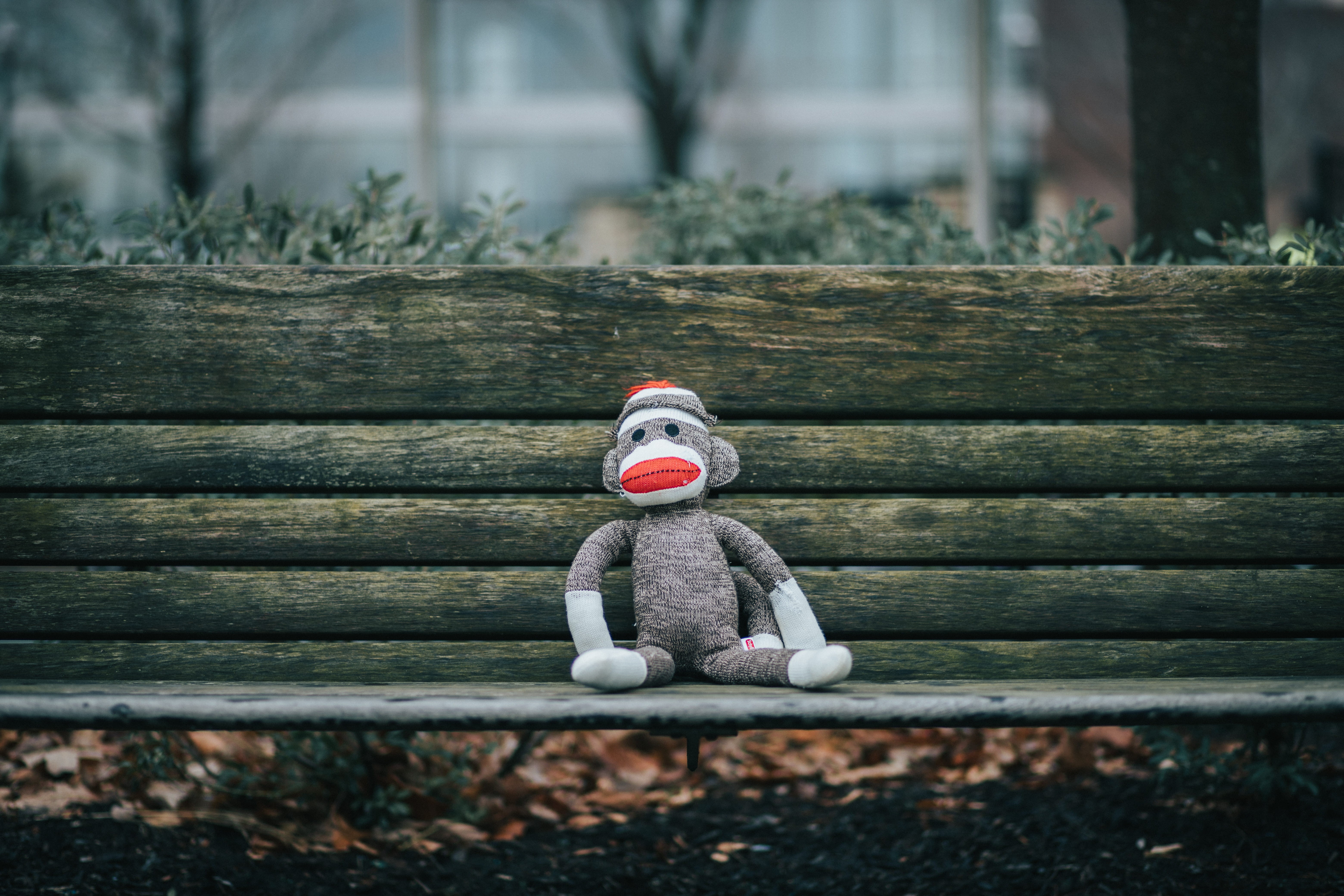 clothing, art and craft, monkey, handrail, figurine, shelf, human representation, sitting, wood, playground, dirt road, sock, representation, bench, toy, HD Wallpaper