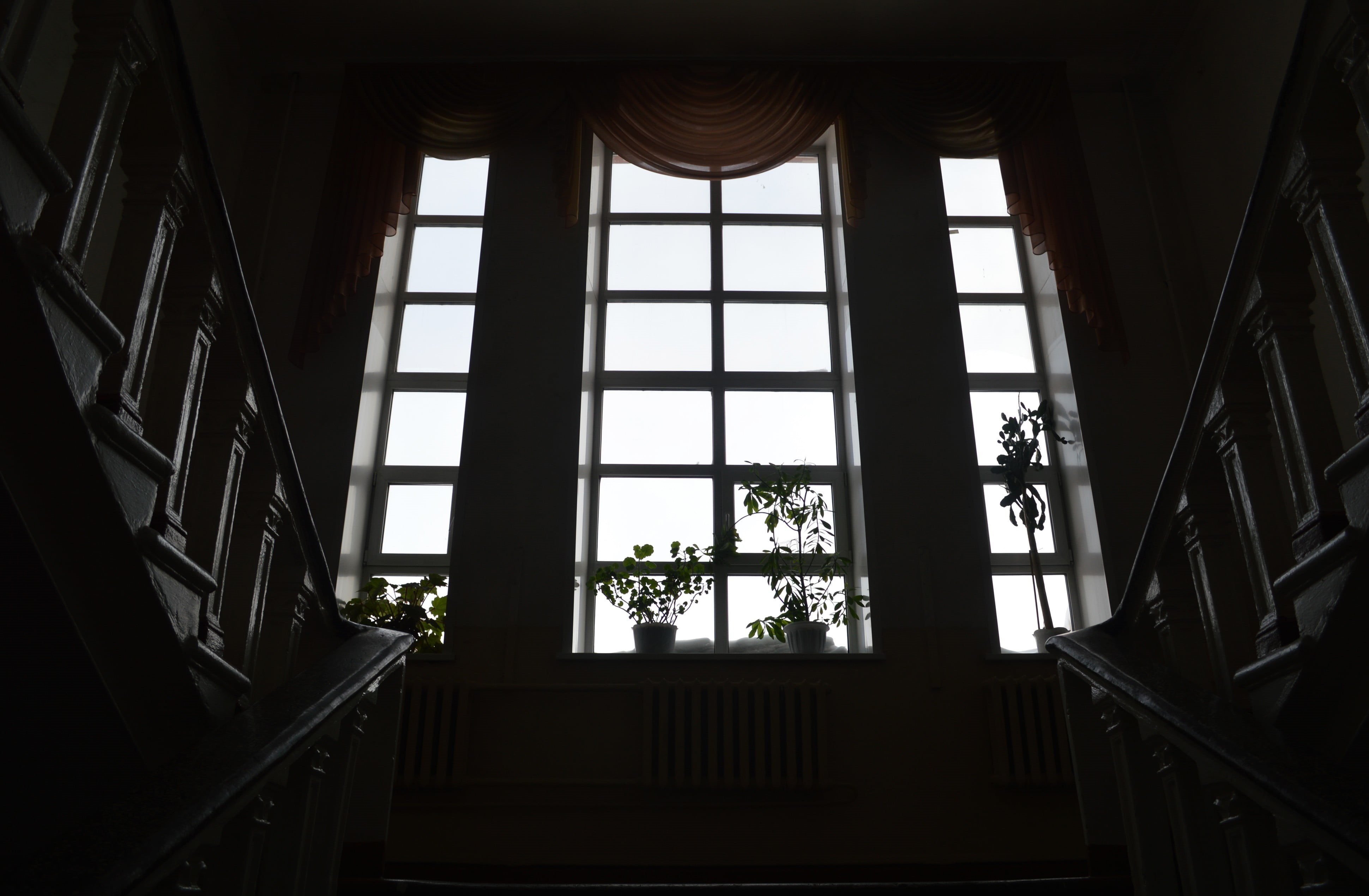 built structure, 4K, interior, window, architecture, framed, staircase, nature, ceiling, glass, black, wooden, stairs, day, sky, tree, steps and staircases, HD Wallpaper