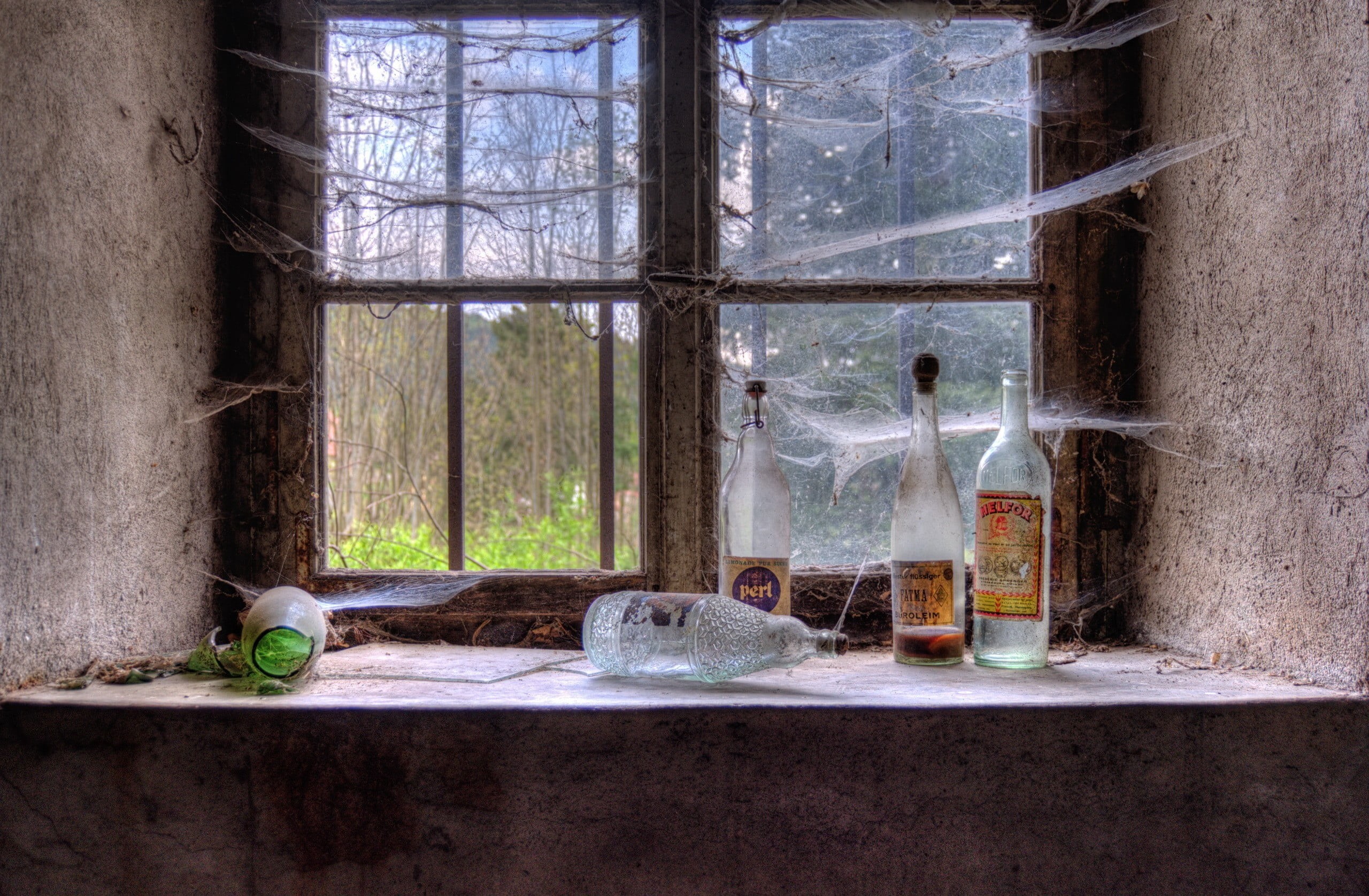 window frame, abandoned, bottle, window, window sill, container, glass, vertebrate, transparent, architecture, day, indoors, framed, brown, animal themes, HD Wallpaper