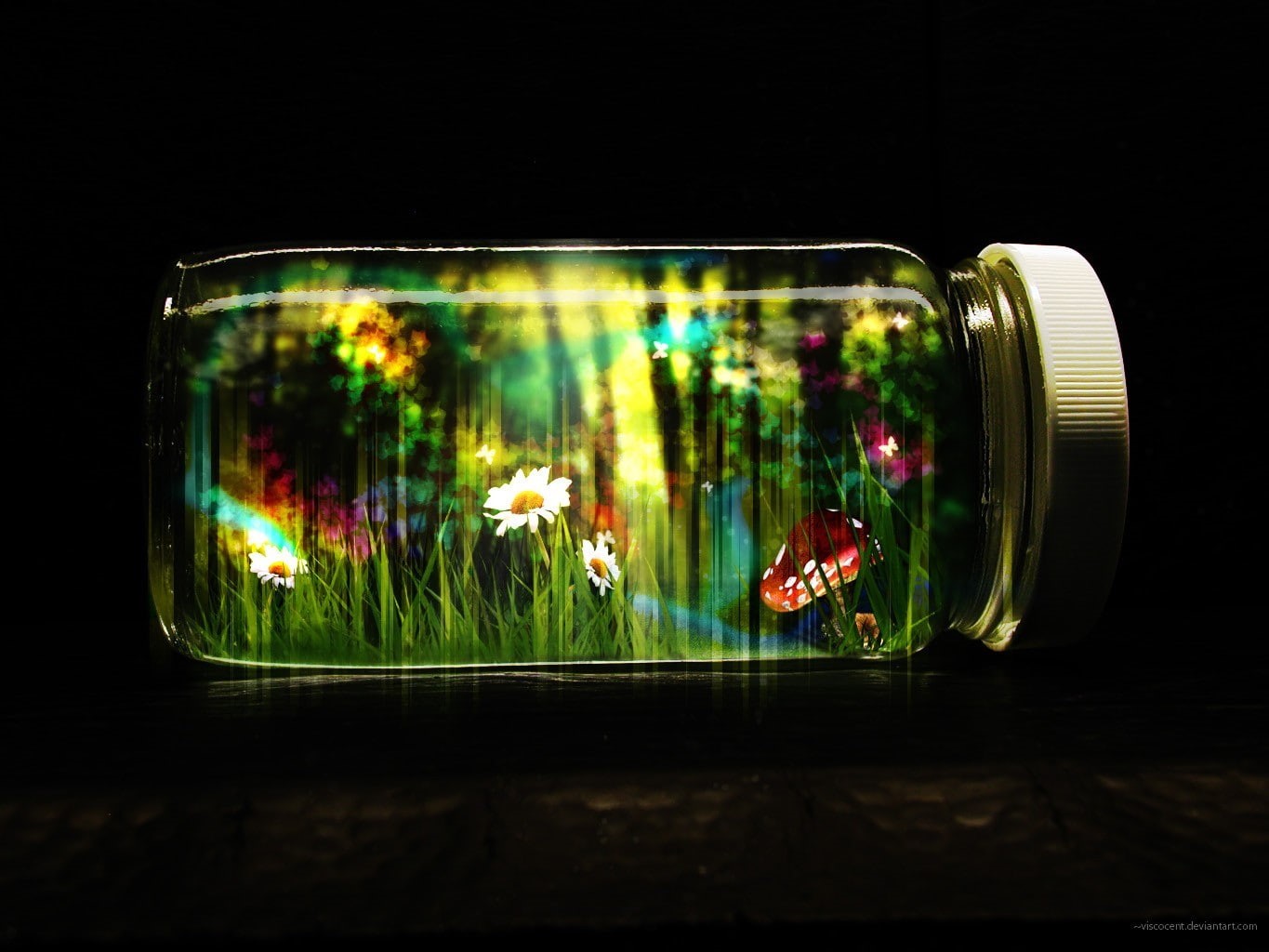 animal, black background, illuminated, fish tank, jars, life, fish, nature, close-up, reflection, flowering plant, glass - material, transparent, glass, HD Wallpaper