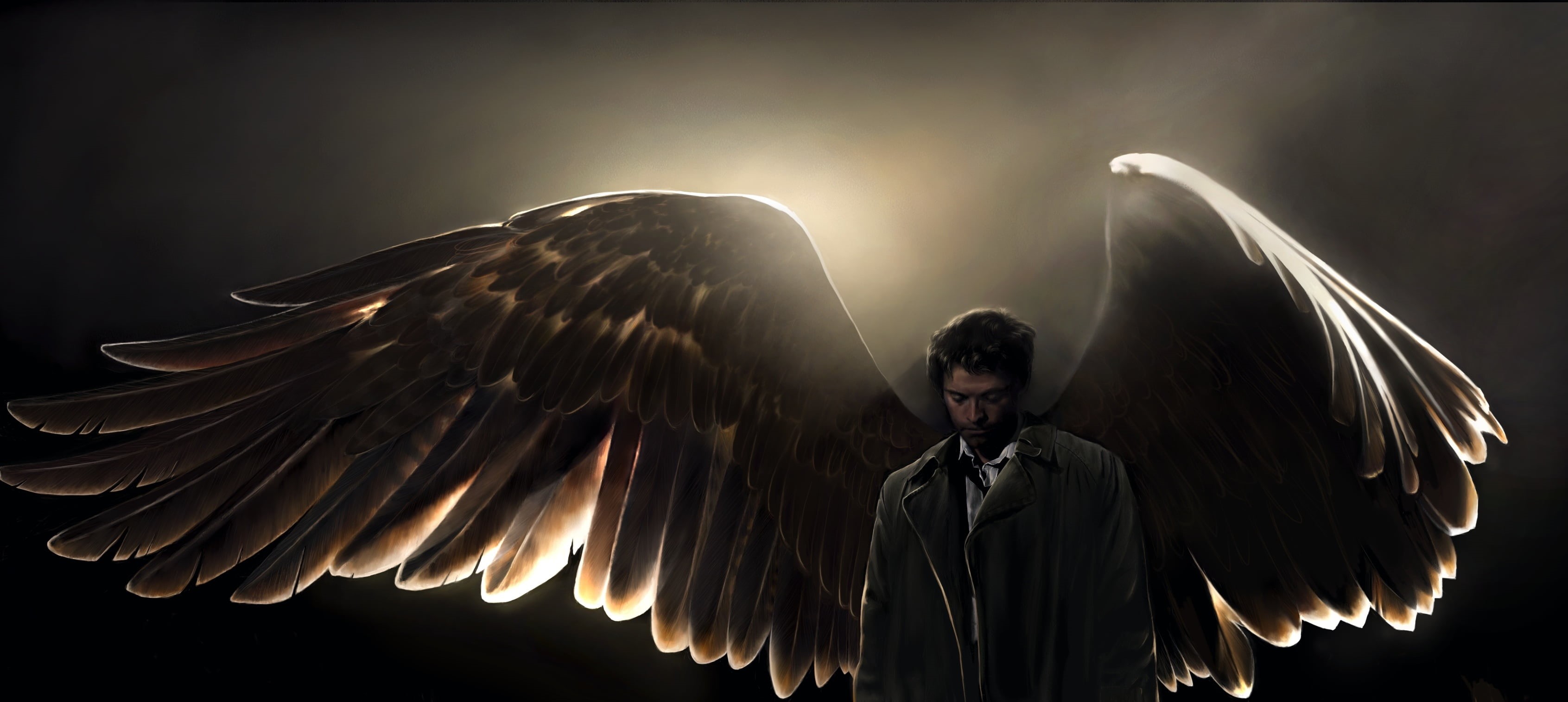 male, character, animal body part, people, angel, dark, black Color, animal, amanda tolleson, young Adult, men, animal wing, flying, human arm, waist up, HD Wallpaper