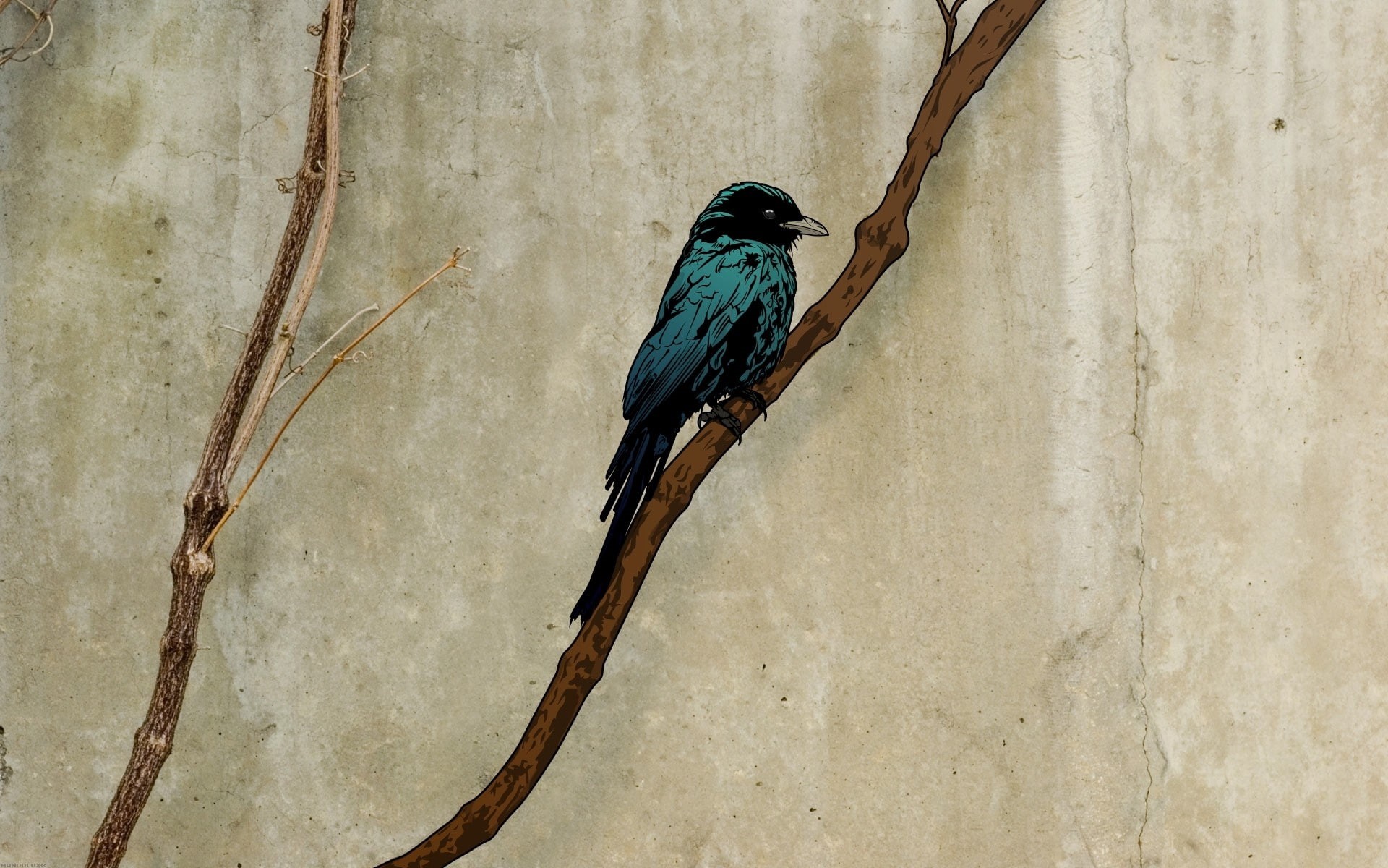 1080P, branch, beige, Jared Nickerson, birds, green, simple background, grunge, artwork, HD Wallpaper