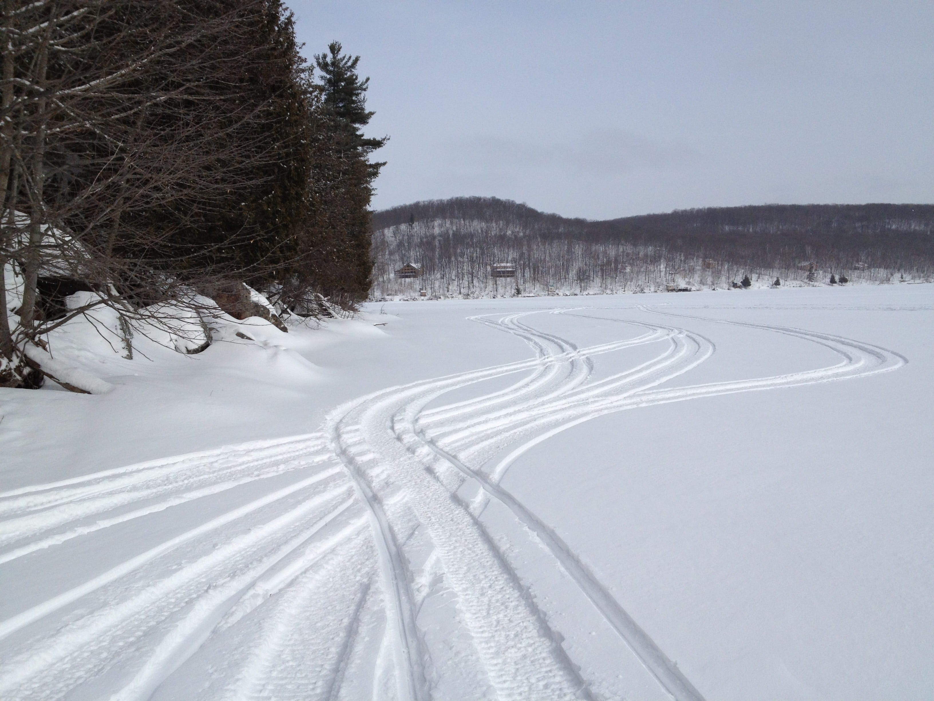 cold temperature, non-urban scene, plant, covering, forest, trees, snowmobile, snowmobiles, tree, yamaha, no people, scenics - nature, tranquil scene, winter, HD Wallpaper