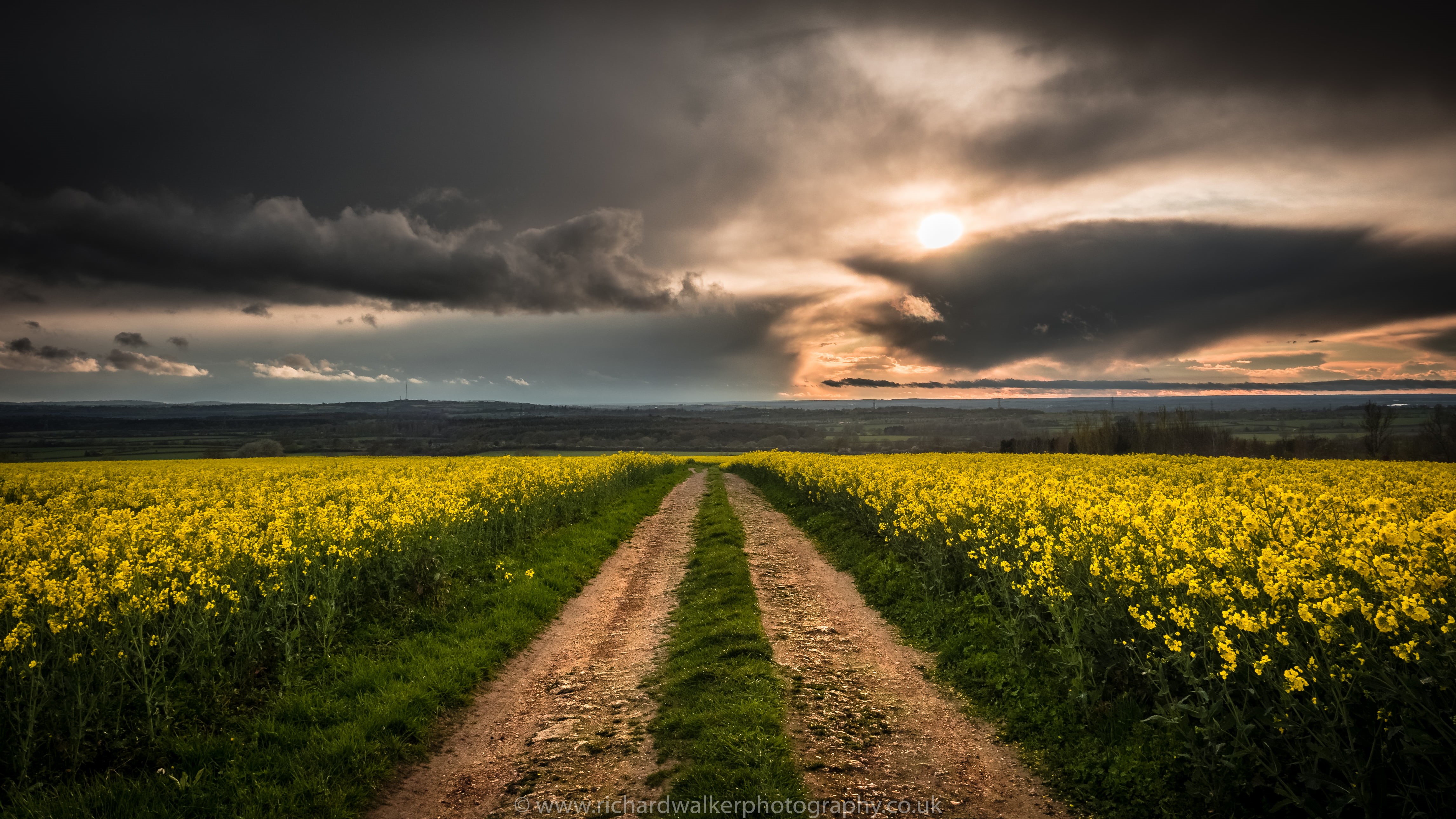 clouds, landscape, flower, landscape photography, cloudscape, cloud - Sky, rural Scene, 4K, scenics, yellow, non-Urban Scene, sky, summer, agriculture, HD Wallpaper