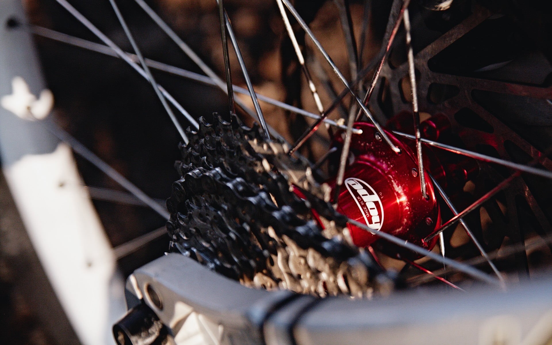 bicycles, still life, tree, mtb, mountain, close-up, selective focus, high angle view, 1080P, speed, chains, bicycle, celebration, metal, red, gear, nature, HD Wallpaper