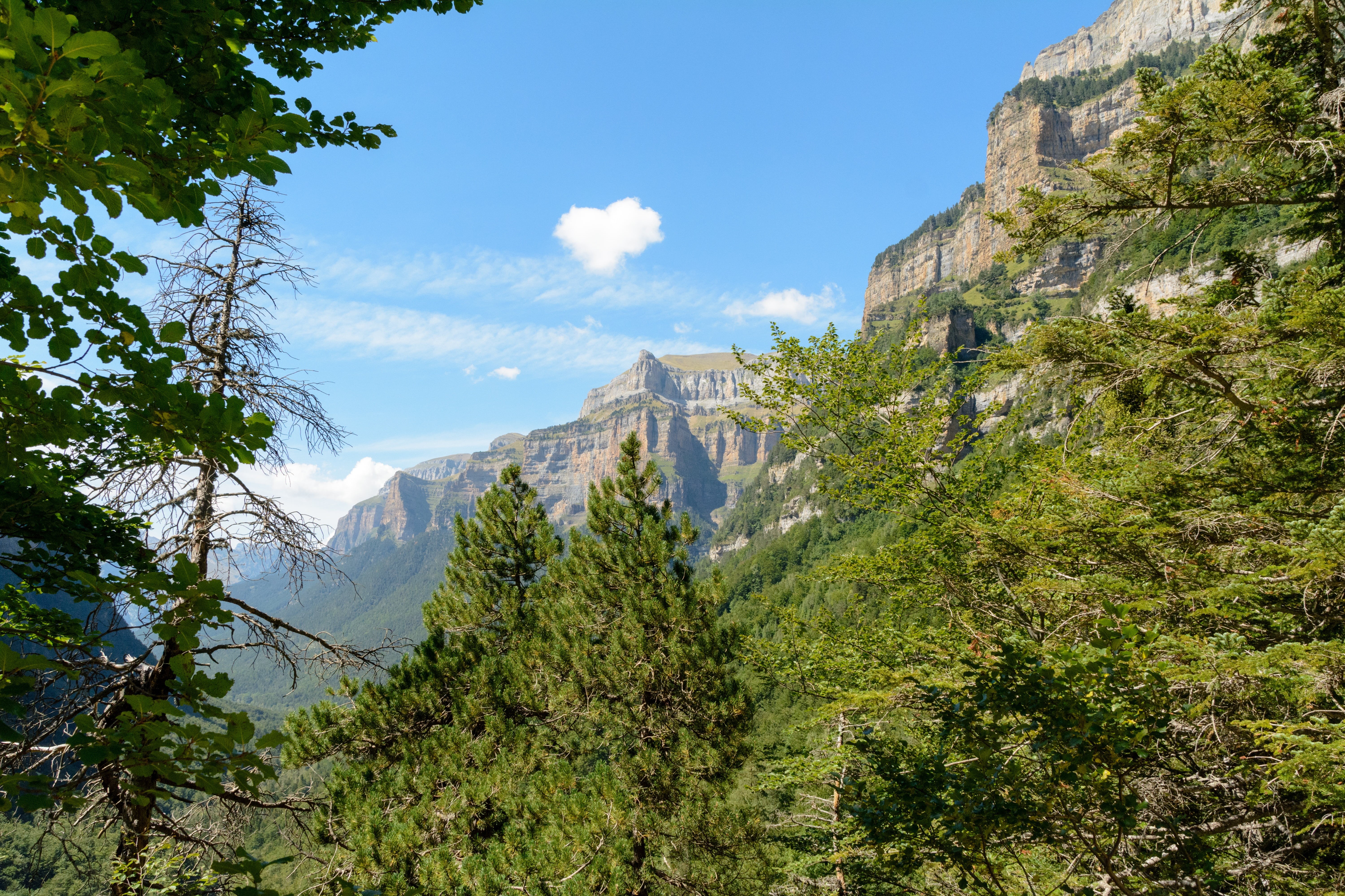 chain of the pyrenees, monte perdido, scenics - nature, mountain, travel destinations, tranquil scene, coniferous tree, ordesa valley, mountain range, cloud - sky, HD Wallpaper