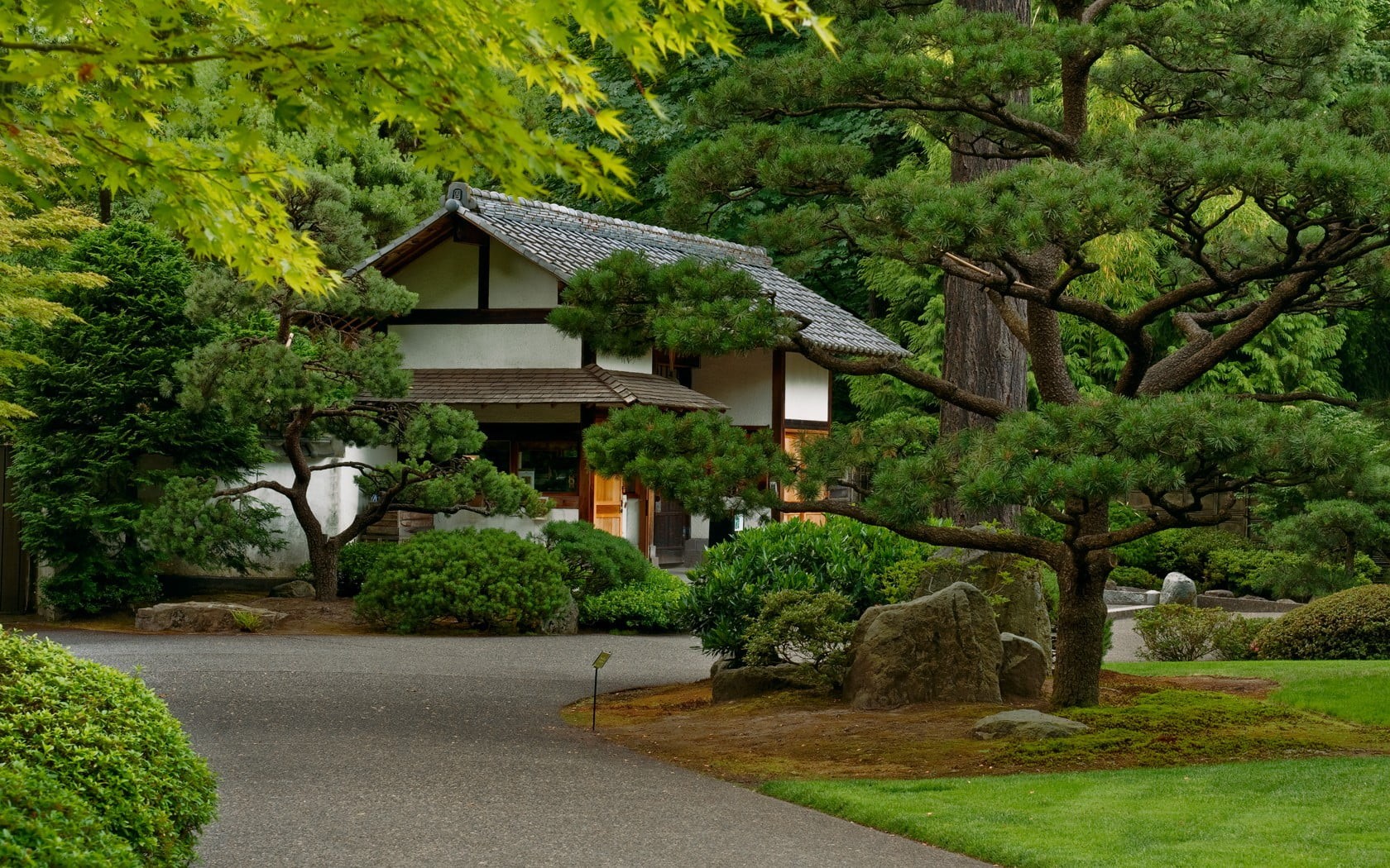 urban, green, plant, outdoors, hedge, day, house, leafed, tree, road, building, beauty in nature, built structure, architecture, 720P, Japan, no people, HD Wallpaper