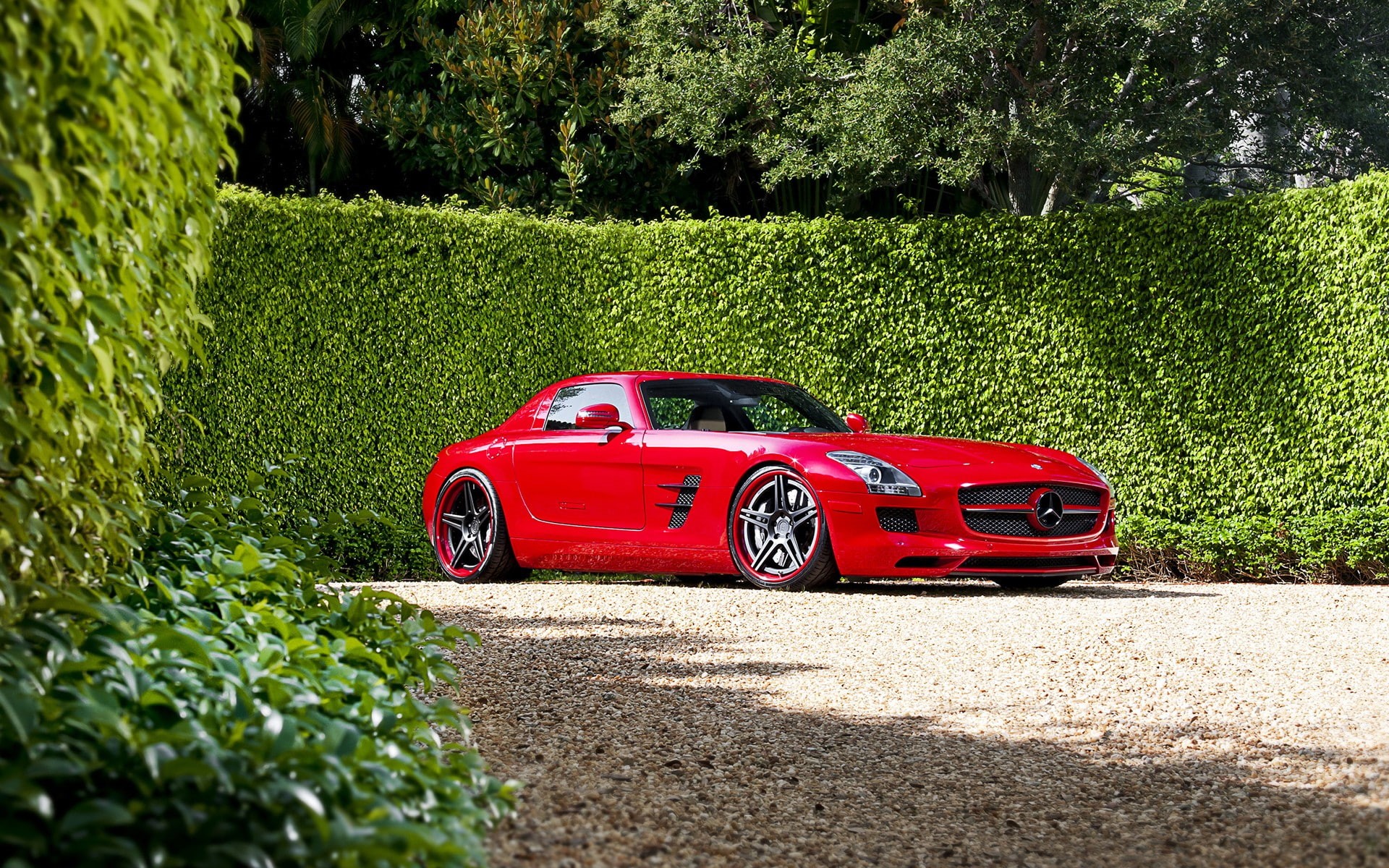 car, Mercedes-Benz, red cars, hedges, 1080P, HD Wallpaper