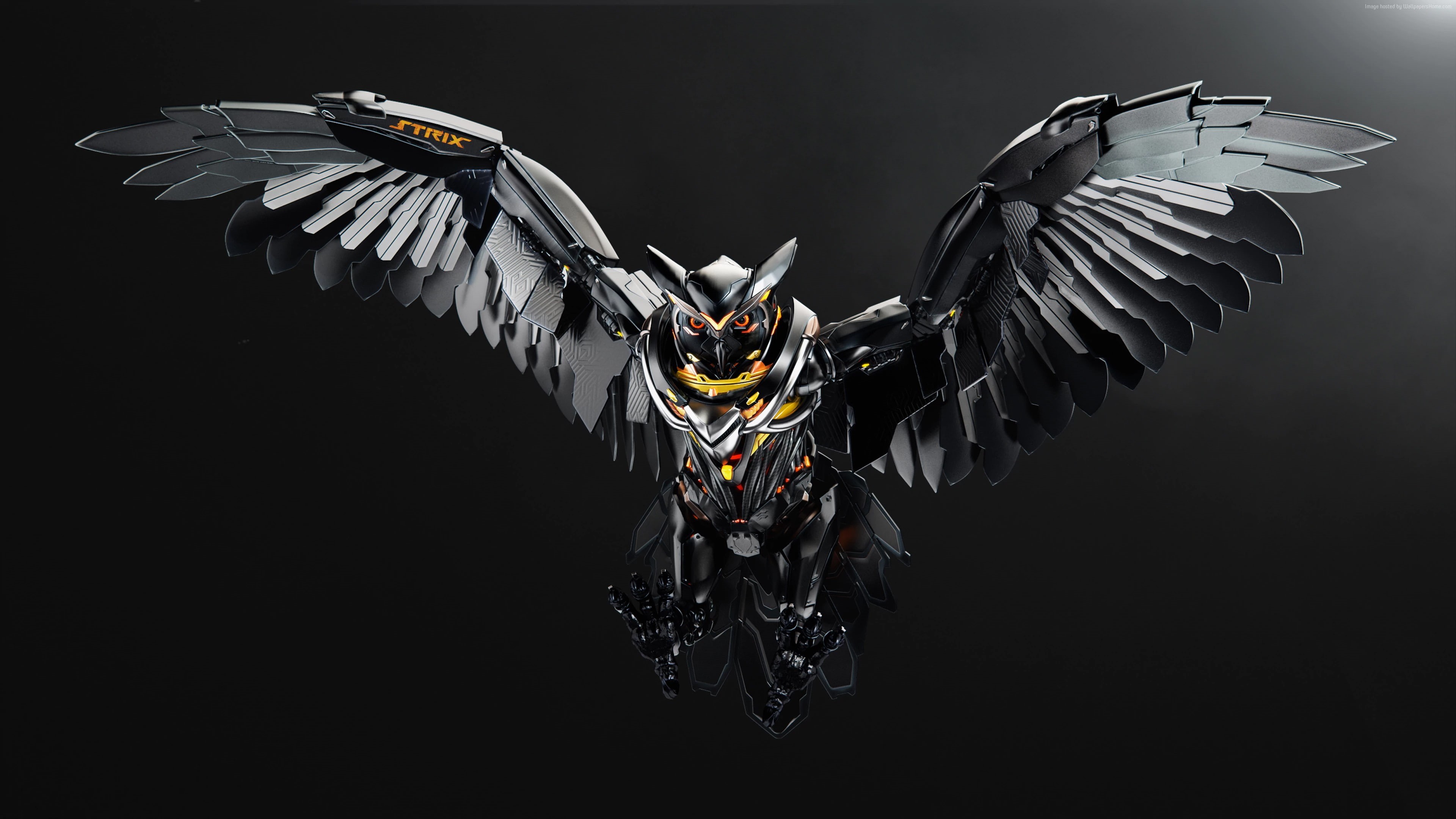 owl, 4k, 3D, 4K, asus, HD Wallpaper