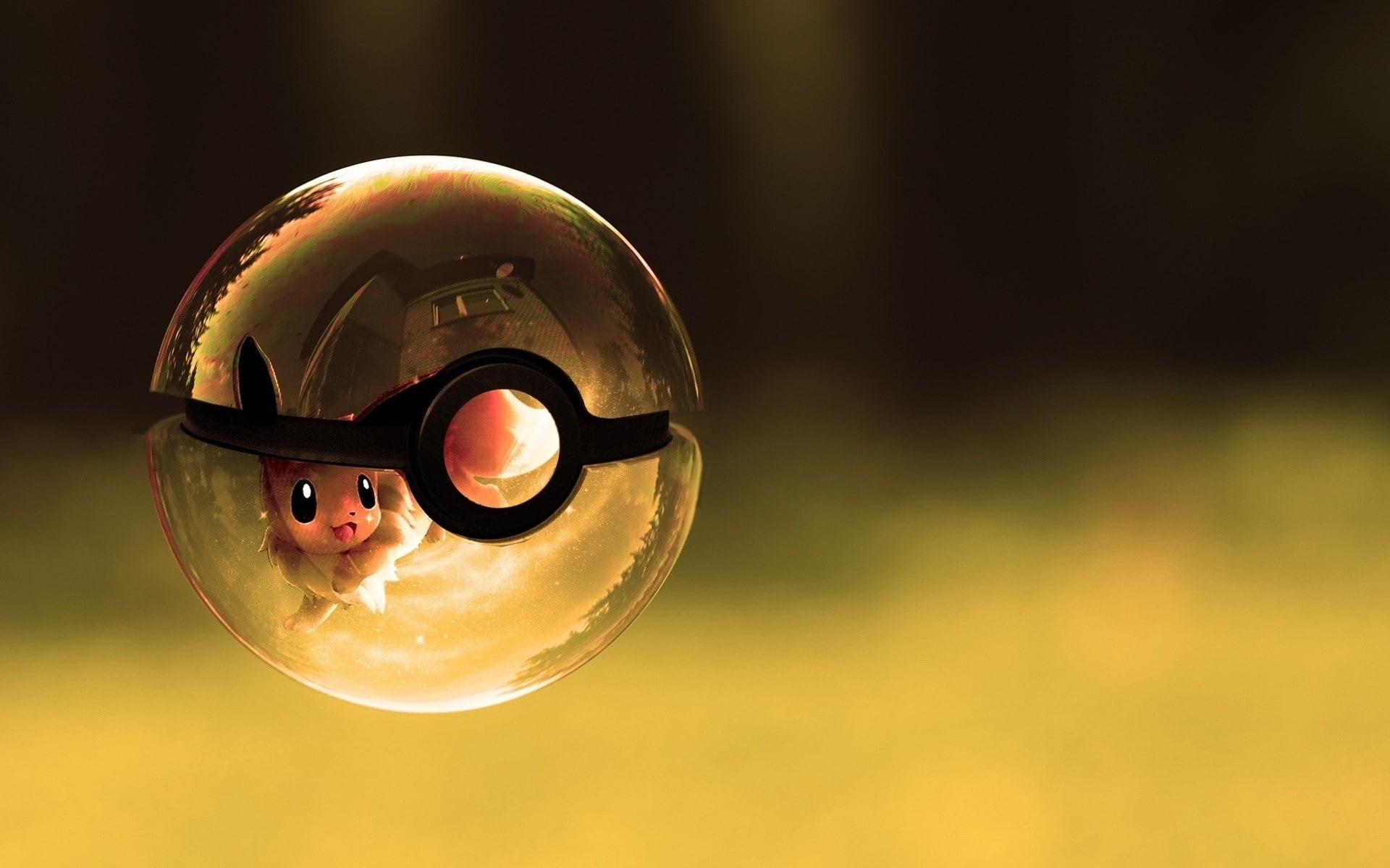 cartoon/comic, eevee, ball, hd, pikachu, pokemon, poke, 1080P, HD Wallpaper