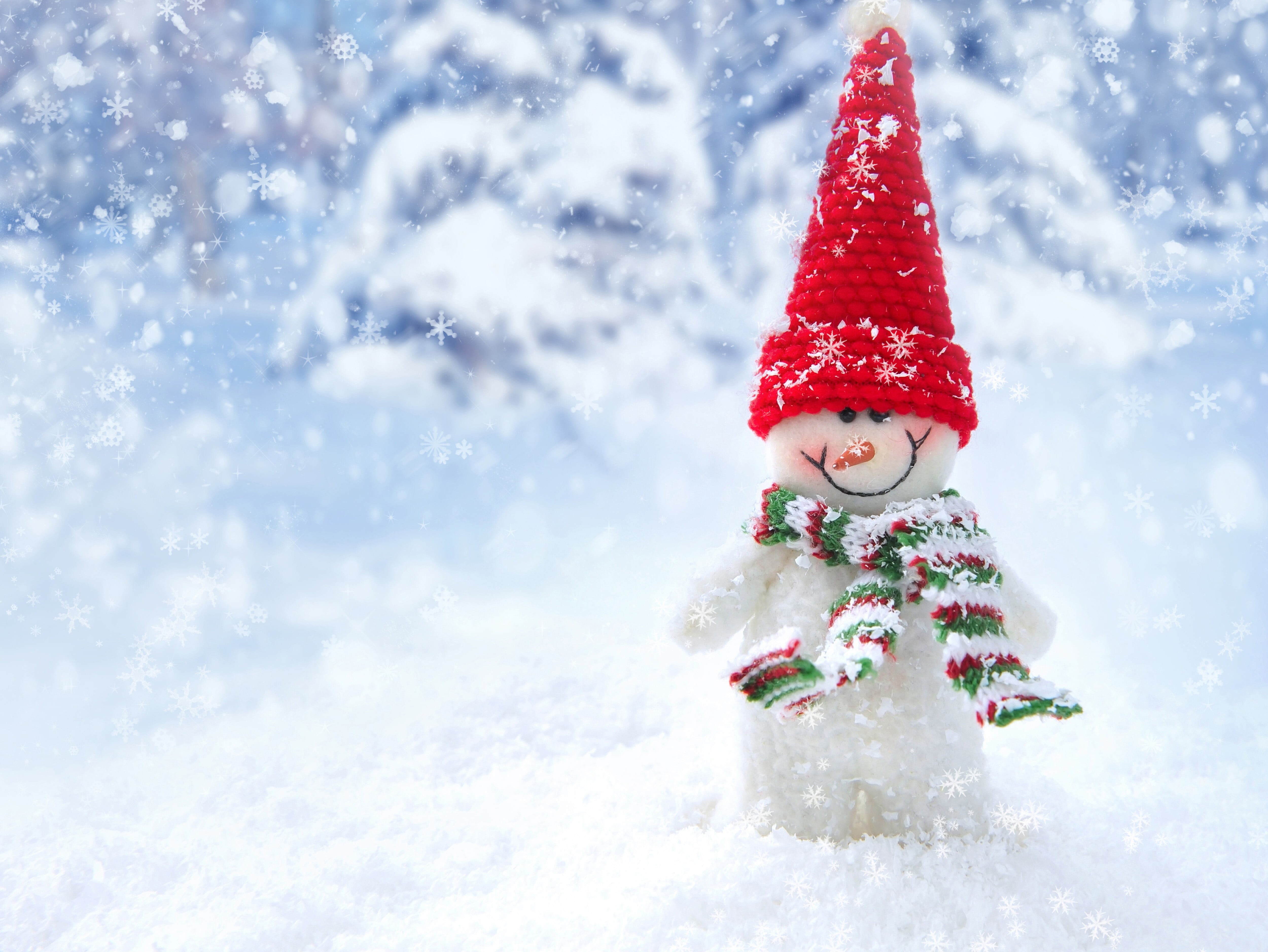 snow, santa hat, clothing, tree, winter, day, childhood, red, holiday, 4K, celebration, warm clothing, snowman, extreme weather, cold temperature, knit hat, HD Wallpaper