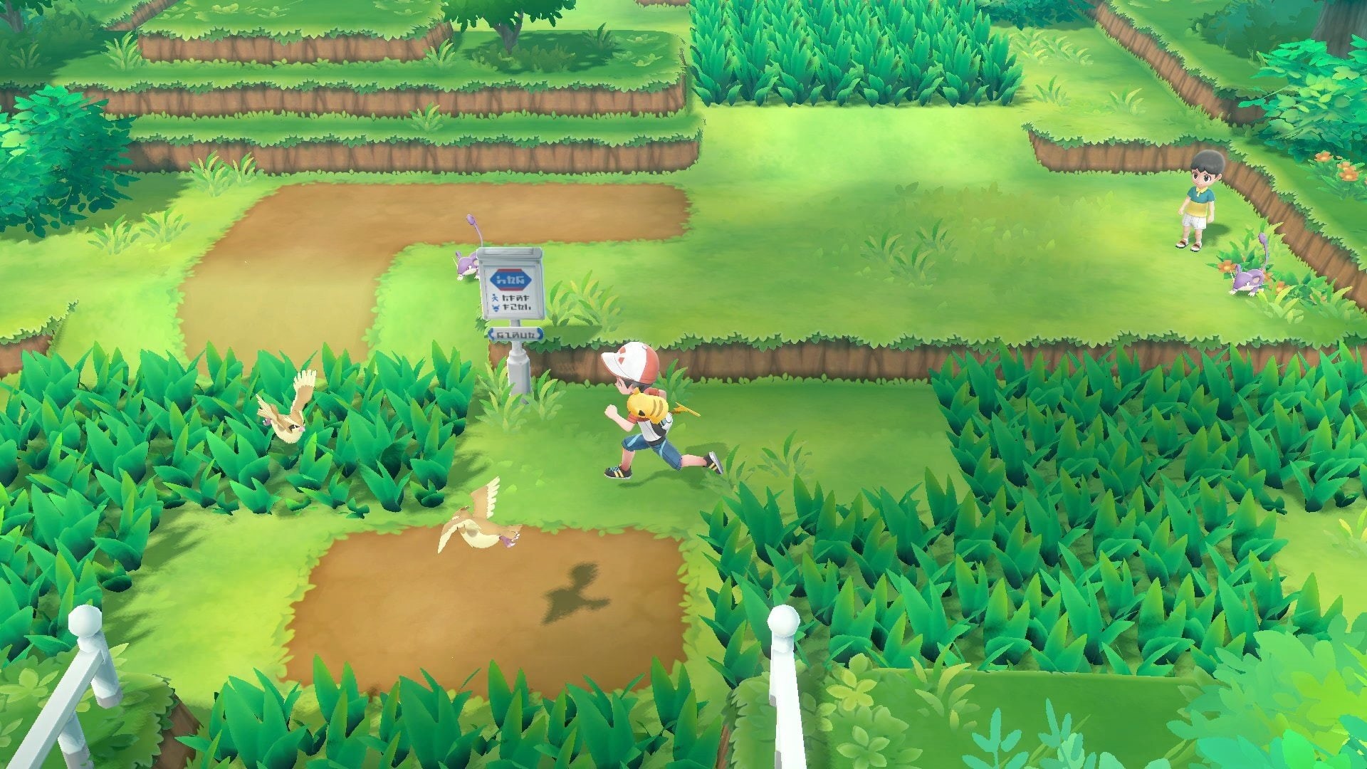 1080P, Pokémon, Pokémon: Lets Go Pikachu and Lets Go Eevee, HD Wallpaper