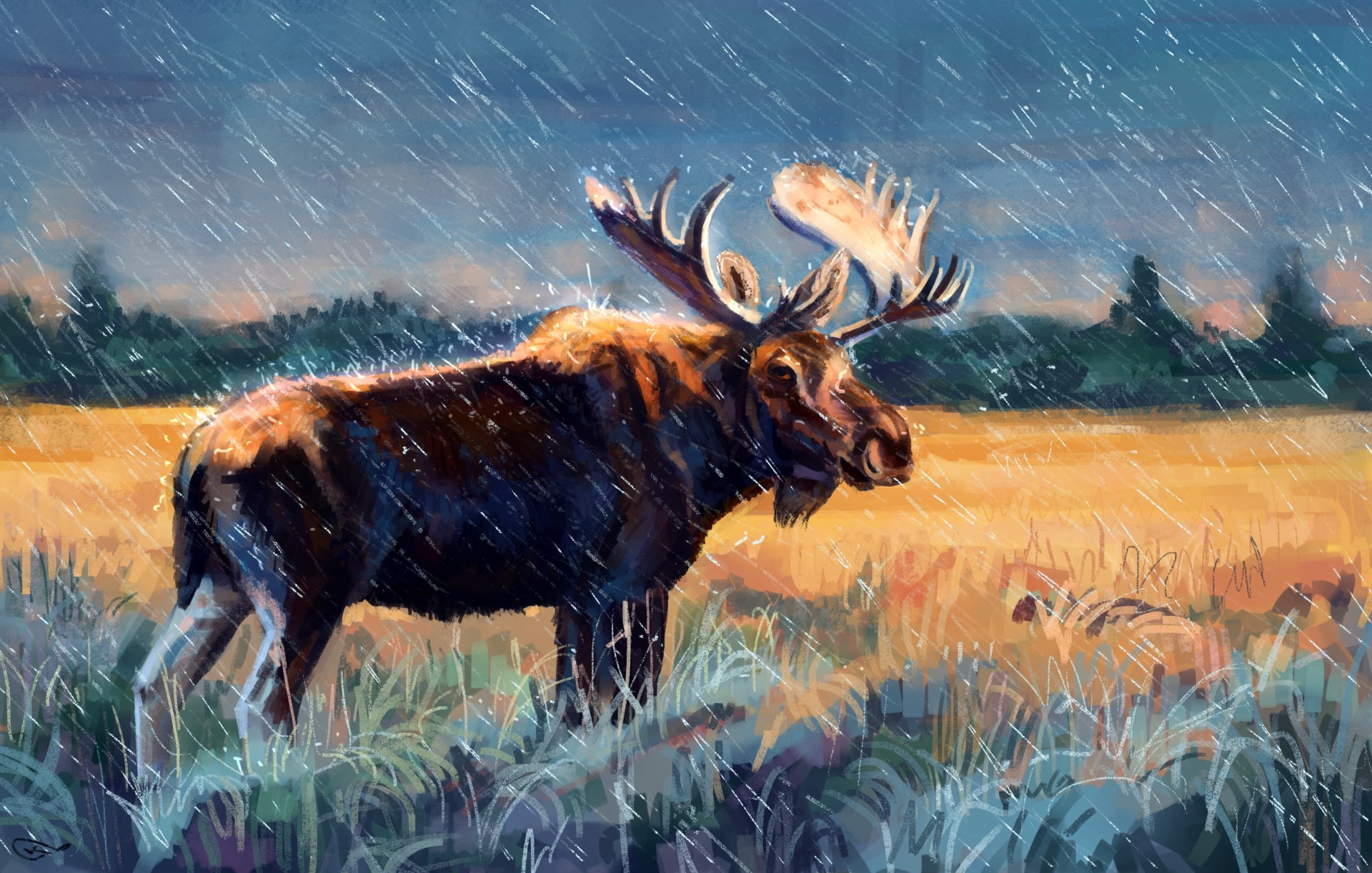 moose, 1080P, elk, rain, animals, artwork, HD Wallpaper