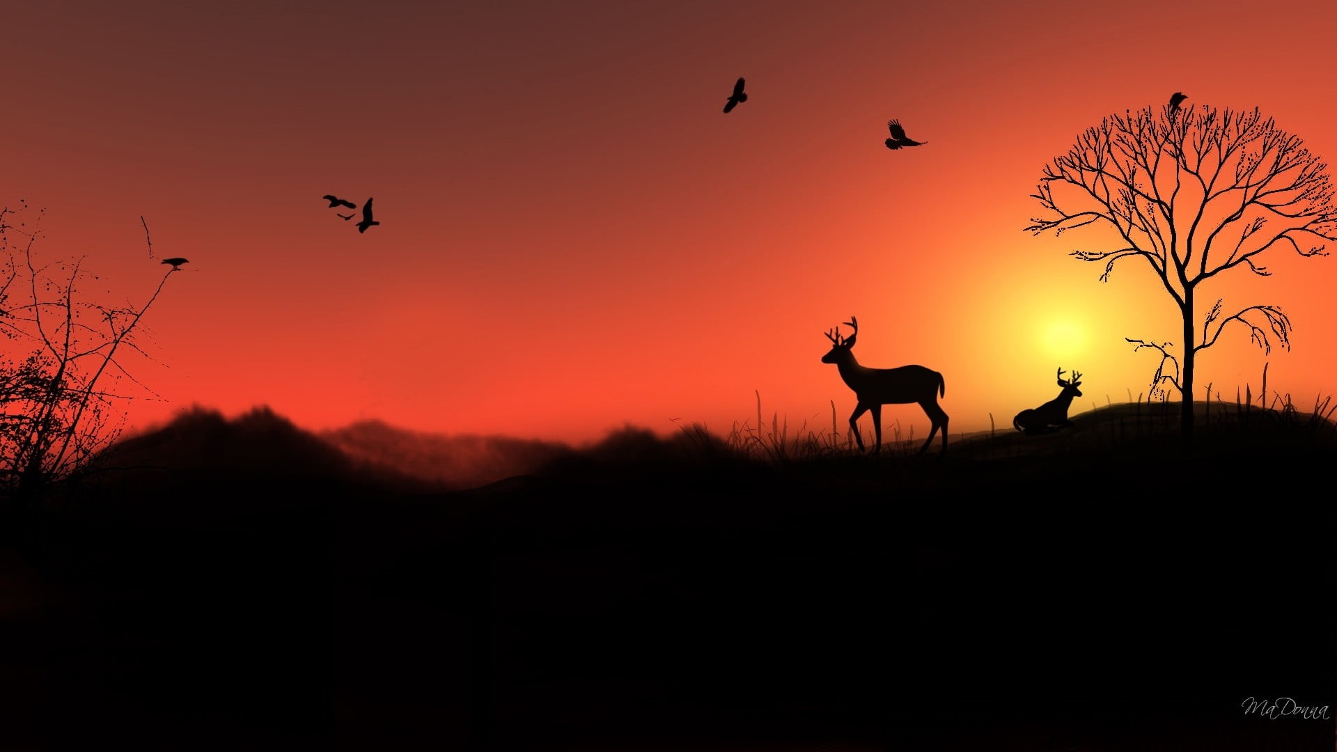 three animals, orange color, shadow, man, woman, silhouette, domestic, flying, elk, sunset, vertebrate, 1080P, bird, riding, livestock, sky, no people, HD Wallpaper
