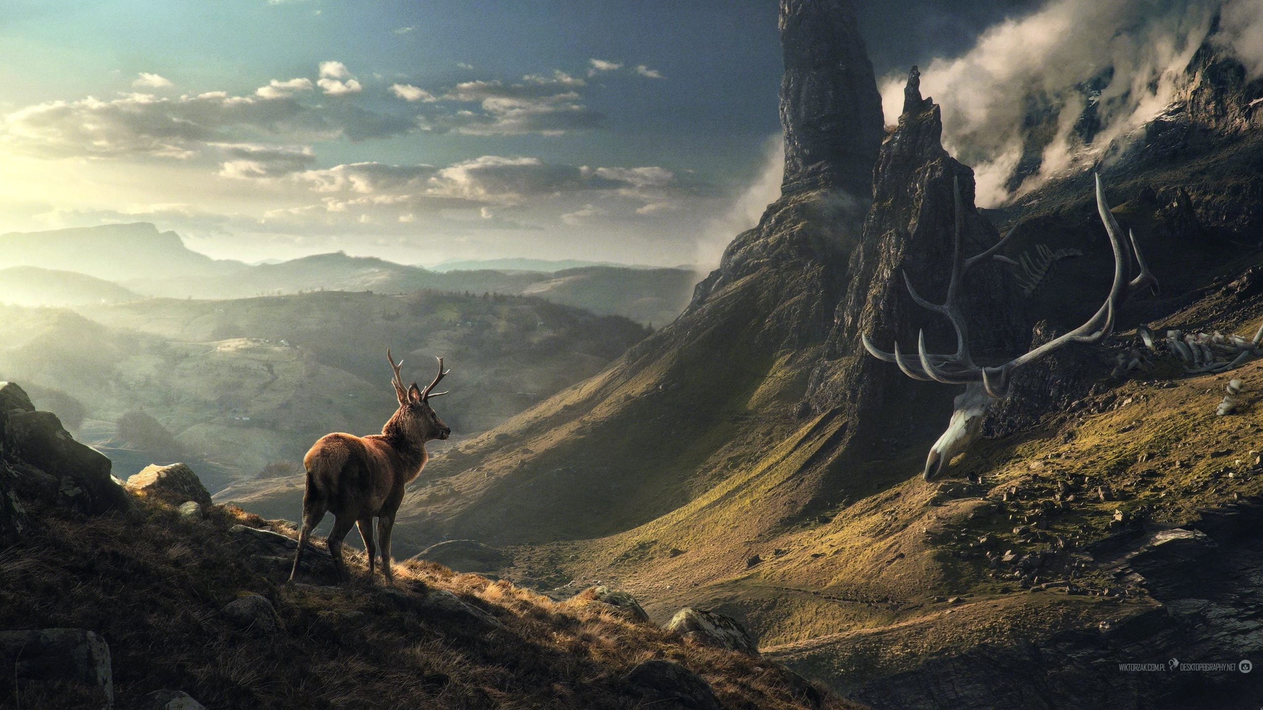 scenics - nature, Desktopography, land, elk, clouds, no people, environment, animal themes, animal, sky, nature, cloud - sky, mountain range, deer, beauty in nature, HD Wallpaper