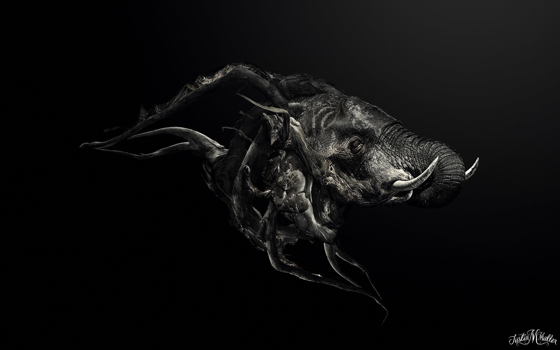 one animal, head, profile view, mammoth, mouth open, 1080P, poster, elephant, animal body part, vertebrate, mouth, black background, studio shot, animal representation, HD Wallpaper