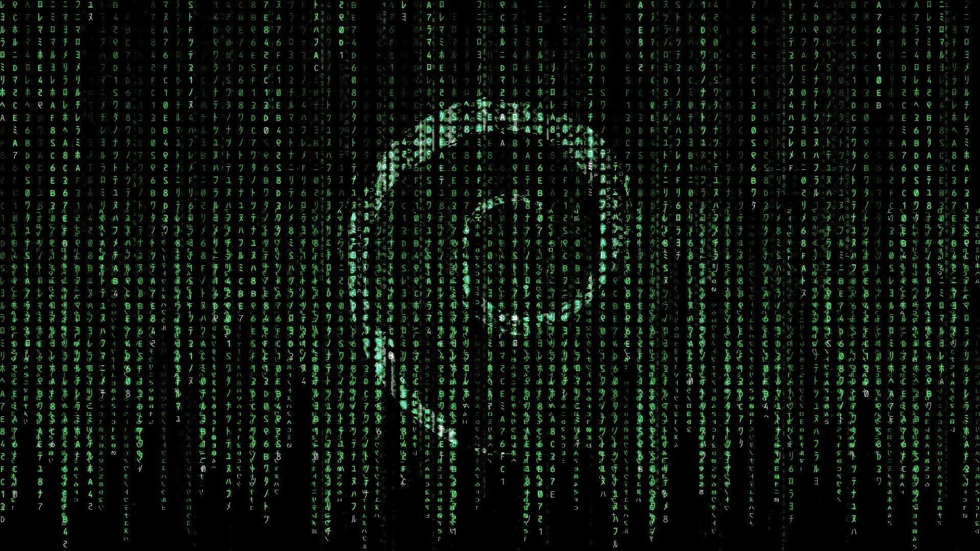 Linux, 1080P, The Matrix, Debian, HD Wallpaper