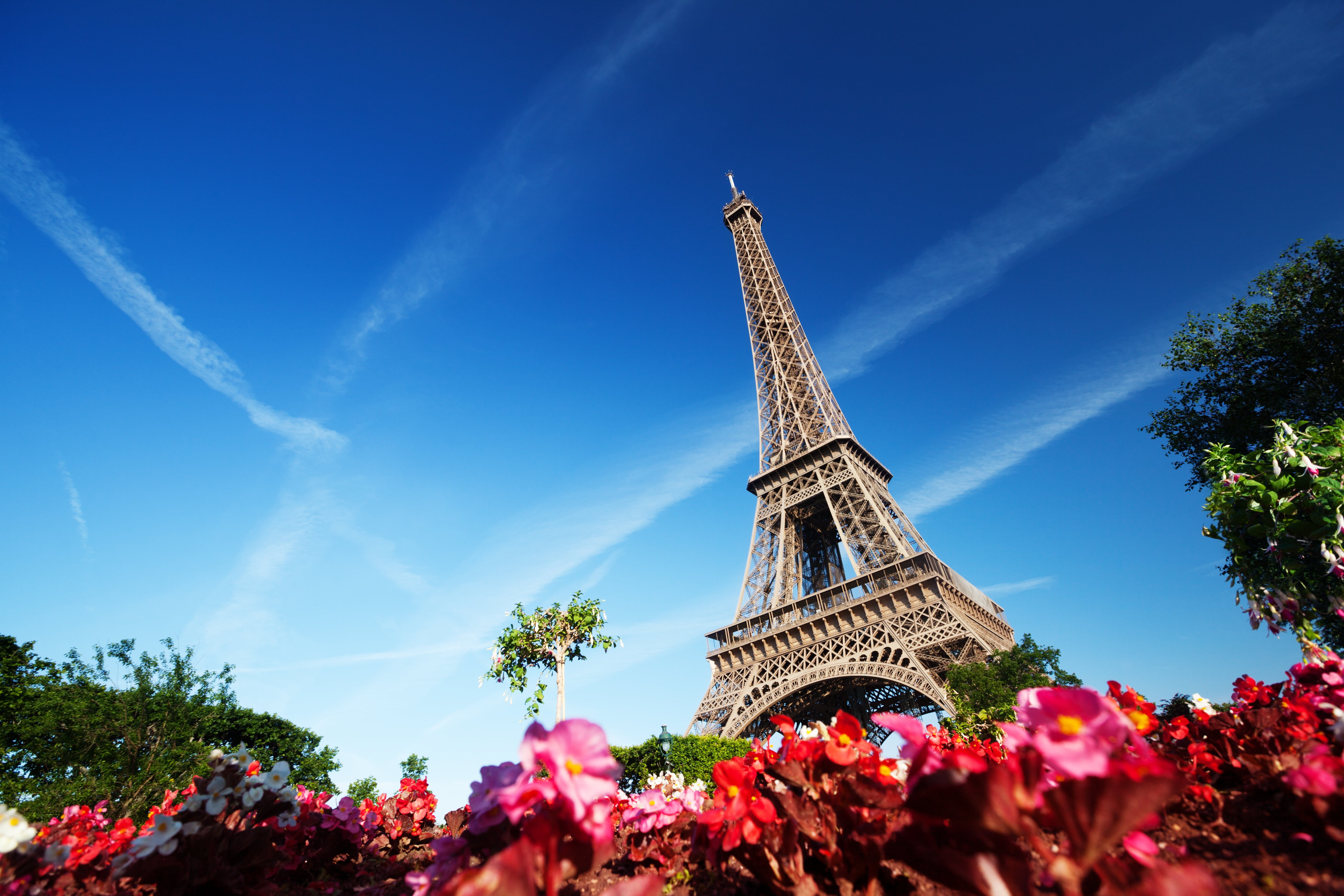 travel, europe, paris - France, sky, flowering plant, outdoors, trees, urban Scene, tree, nature, flower, summer, vacations, cityscape, romance, international Landmark, HD Wallpaper