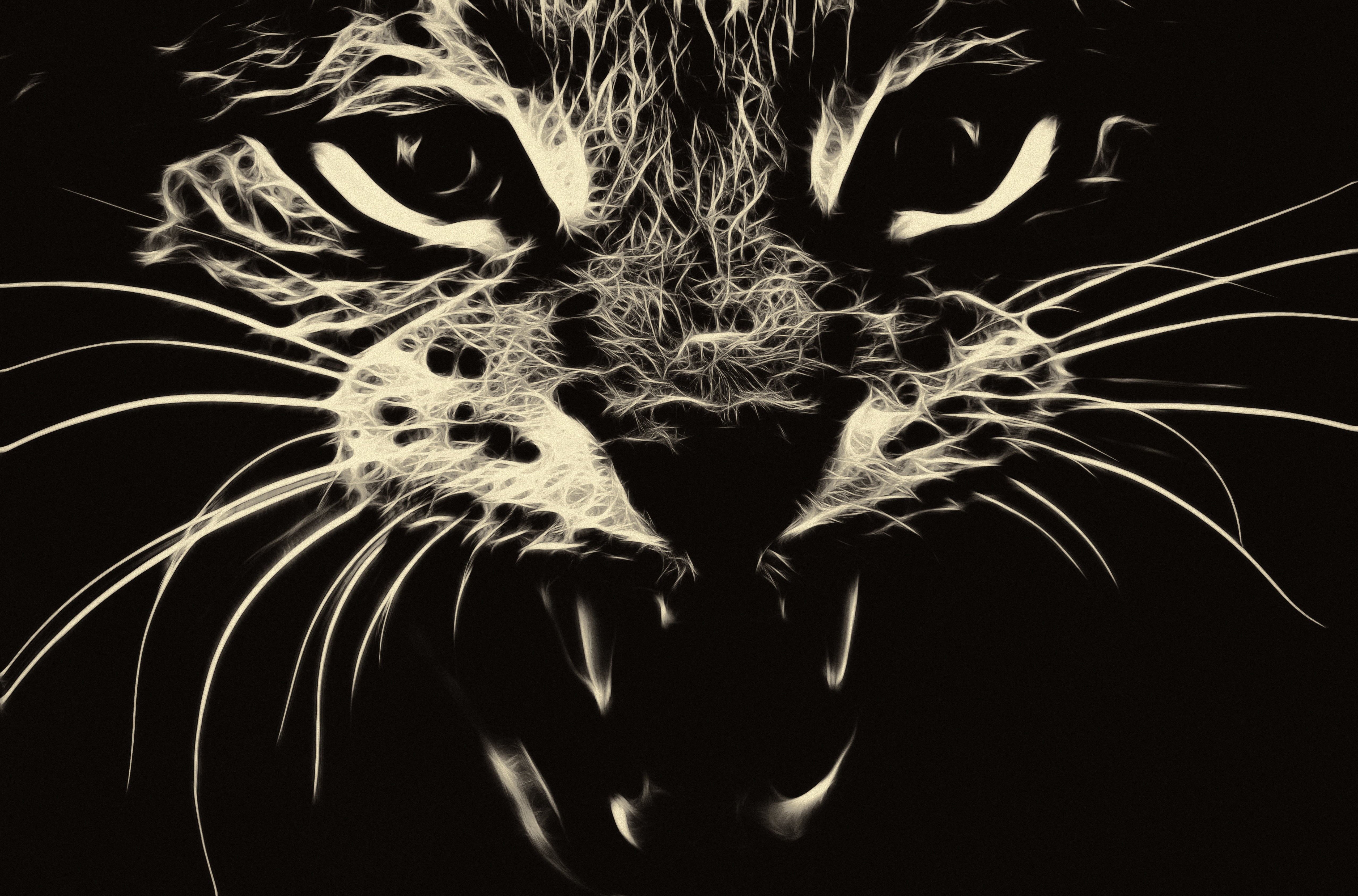 beige, cruel, fear, black, leopard, black Color, animal wildlife, carnivore, glowing, night, wildlife, animal body part, furious, illuminated, grin, looking at camera, HD Wallpaper