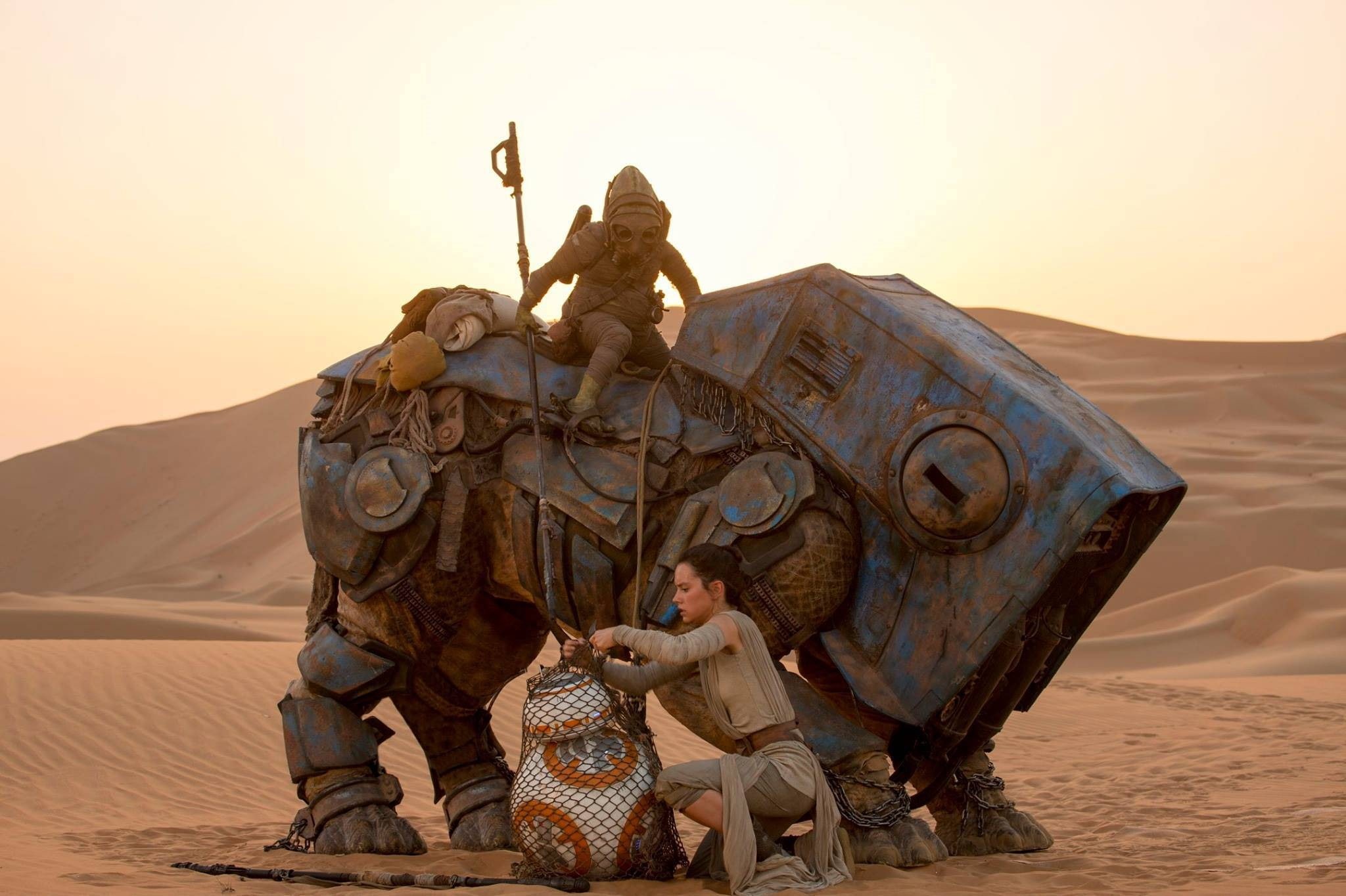 1080P, BB-8, Star Wars, Daisy Ridley, Star Wars: The Force Awakens, HD Wallpaper
