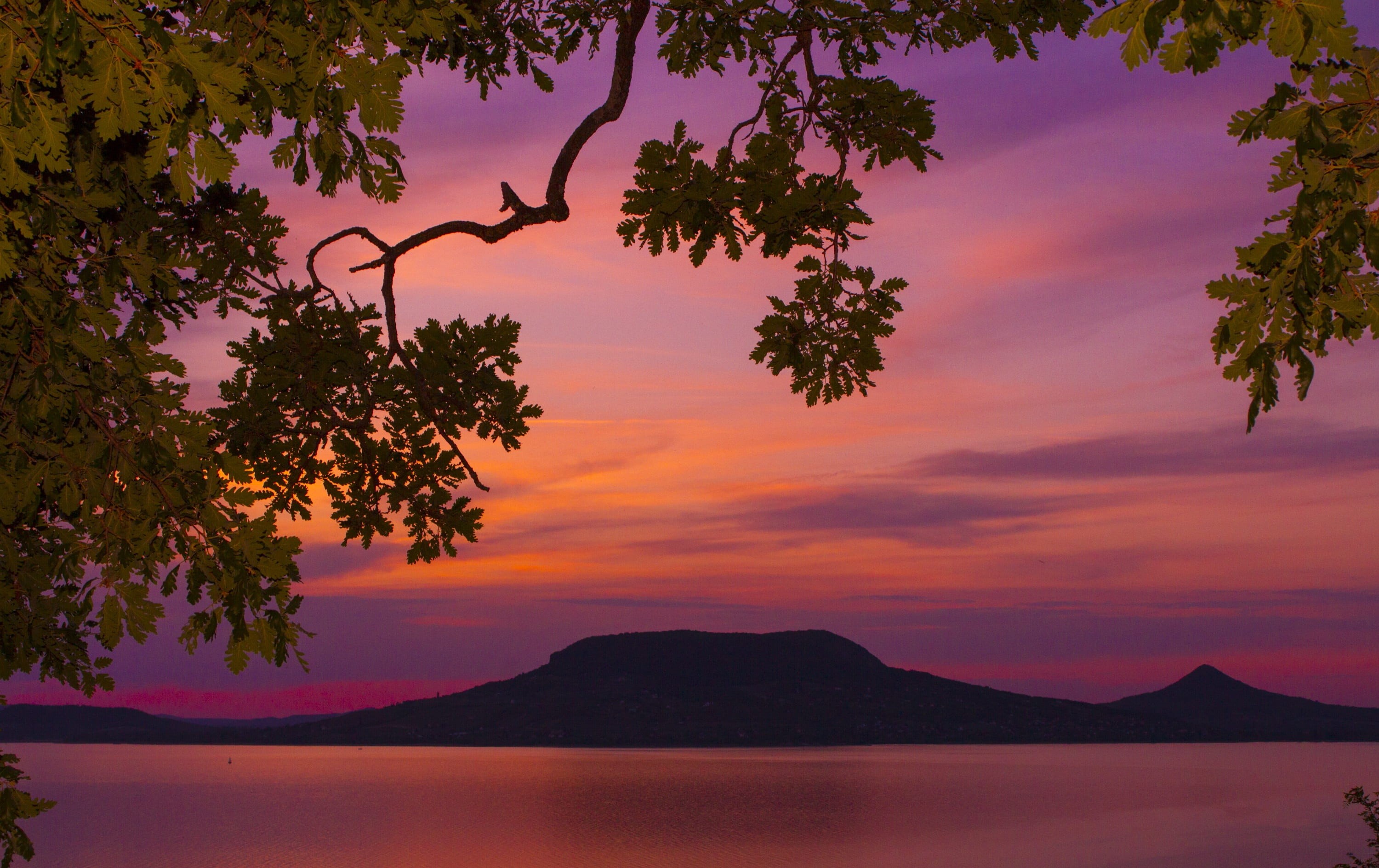 beauty in nature, body of water, 2K, lake balaton, nature, golden, scenics - nature, no people, orange color, mountain, spring, fonyód, near, silhouette, HD Wallpaper