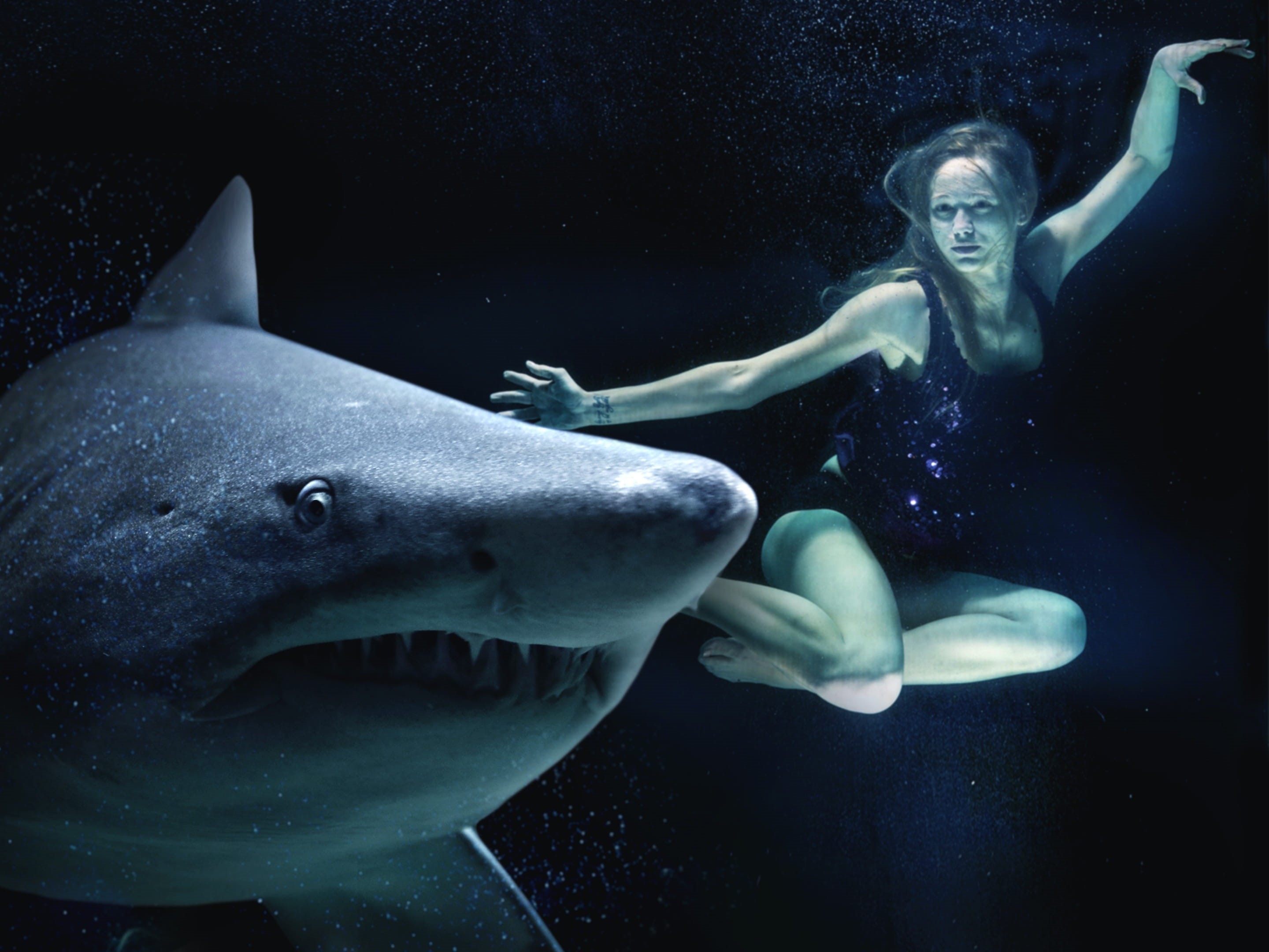 underwater, lady, near, warning sign, dangerous, swimsuit, lake, nature, undersea, digital art, shark fin, blue shark, scuba Diving, animal, black, photoshop, HD Wallpaper