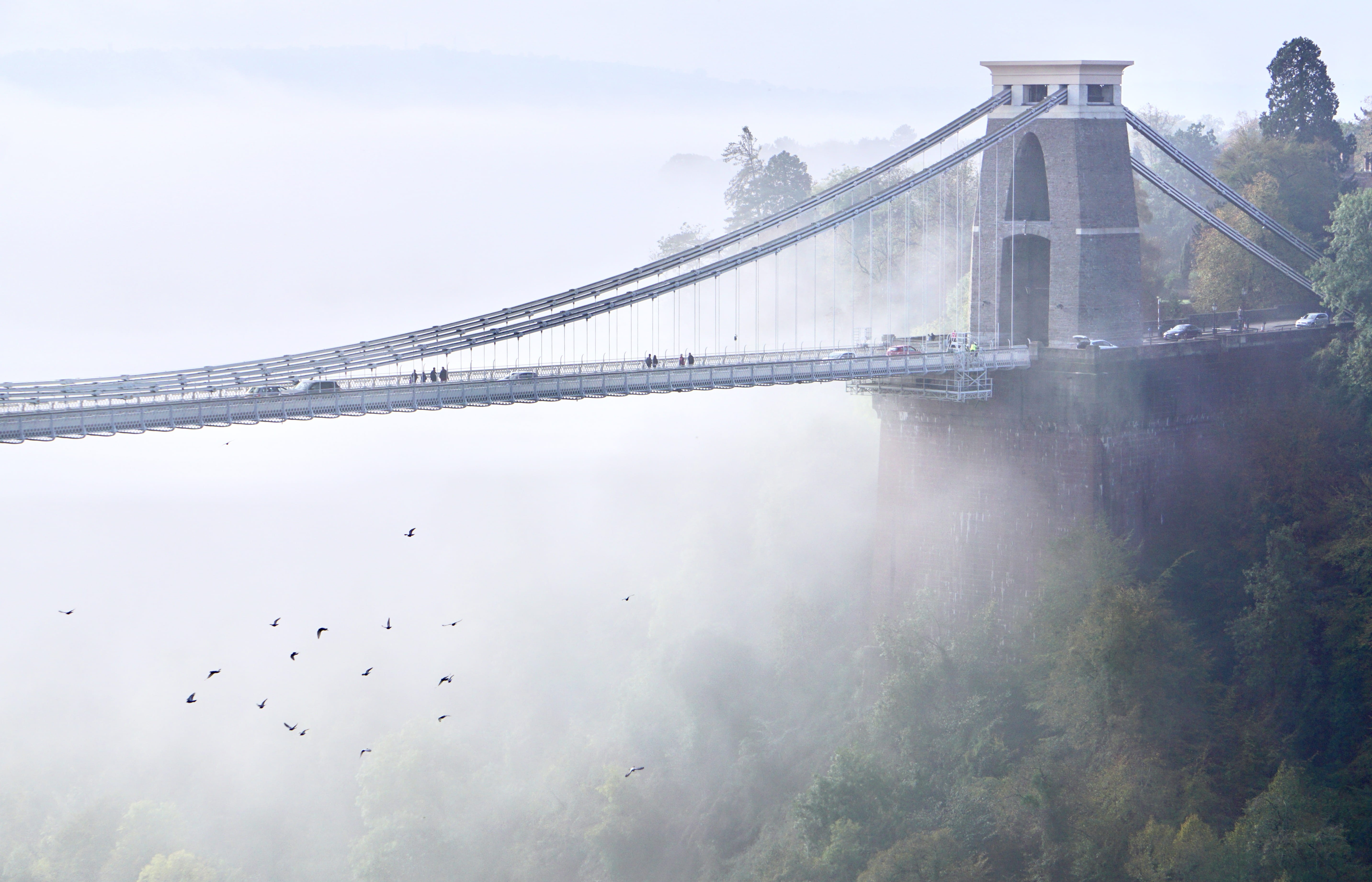 handrail, architecture, vertebrate, bridge - man made structure, built structure, animal themes, outdoors, transportation, building, sky, city, mist, nature, HD Wallpaper
