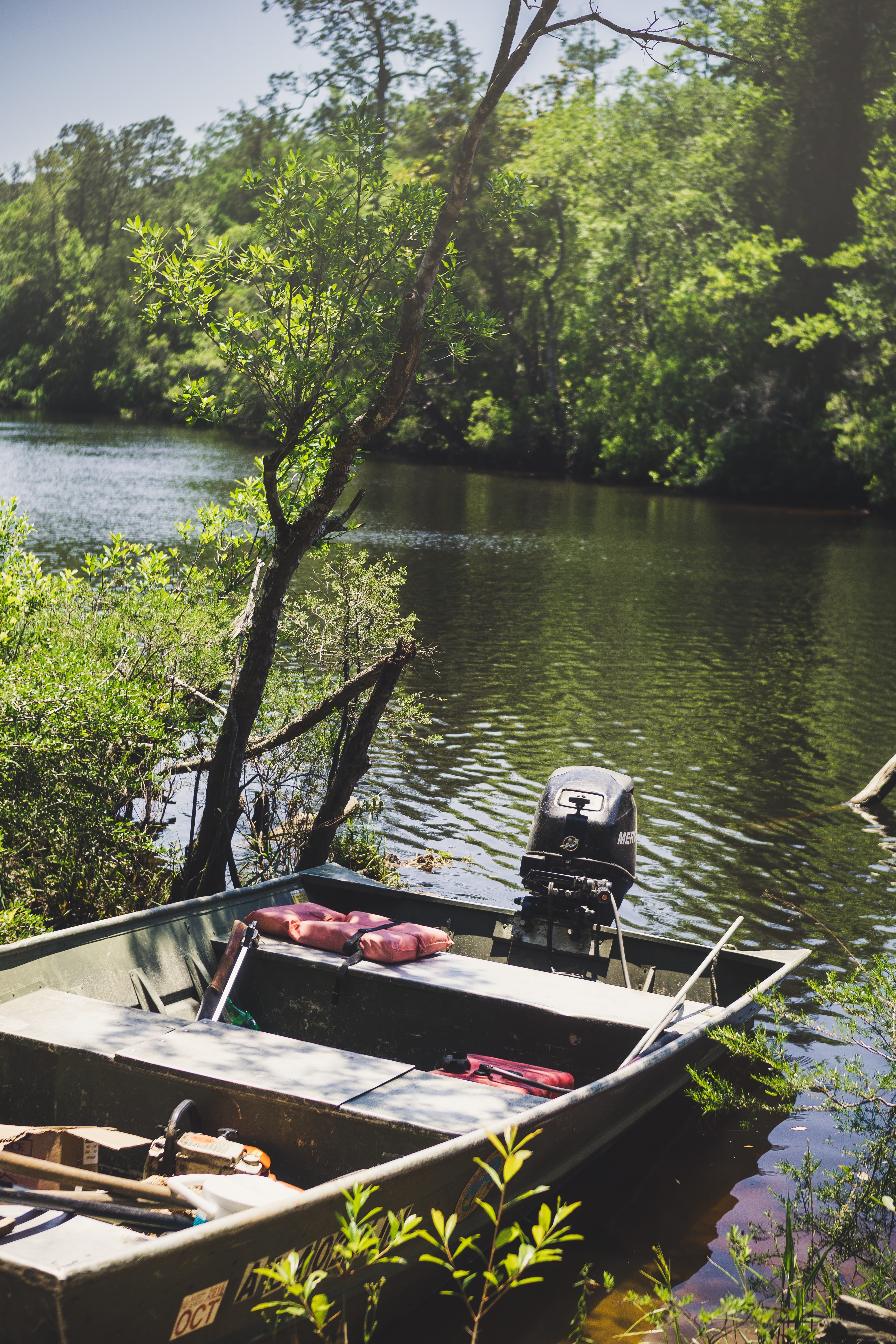transportation, green, aligator, everglades, chickasabogue park, united states, beauty in nature, motor boat, lake, water, Phone HD Wallpaper