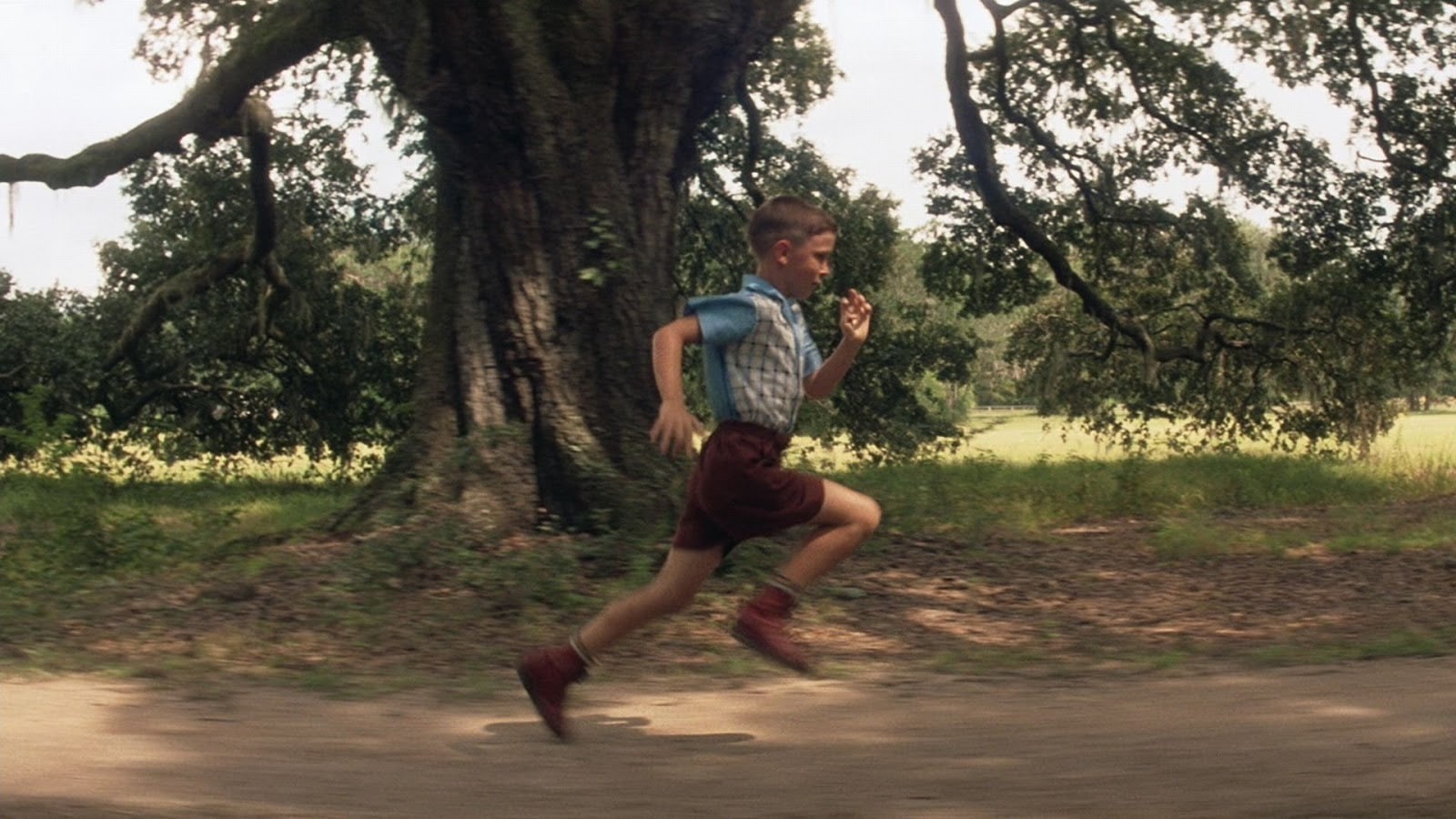 comedy, drama, gump, 720P, forrest, HD Wallpaper