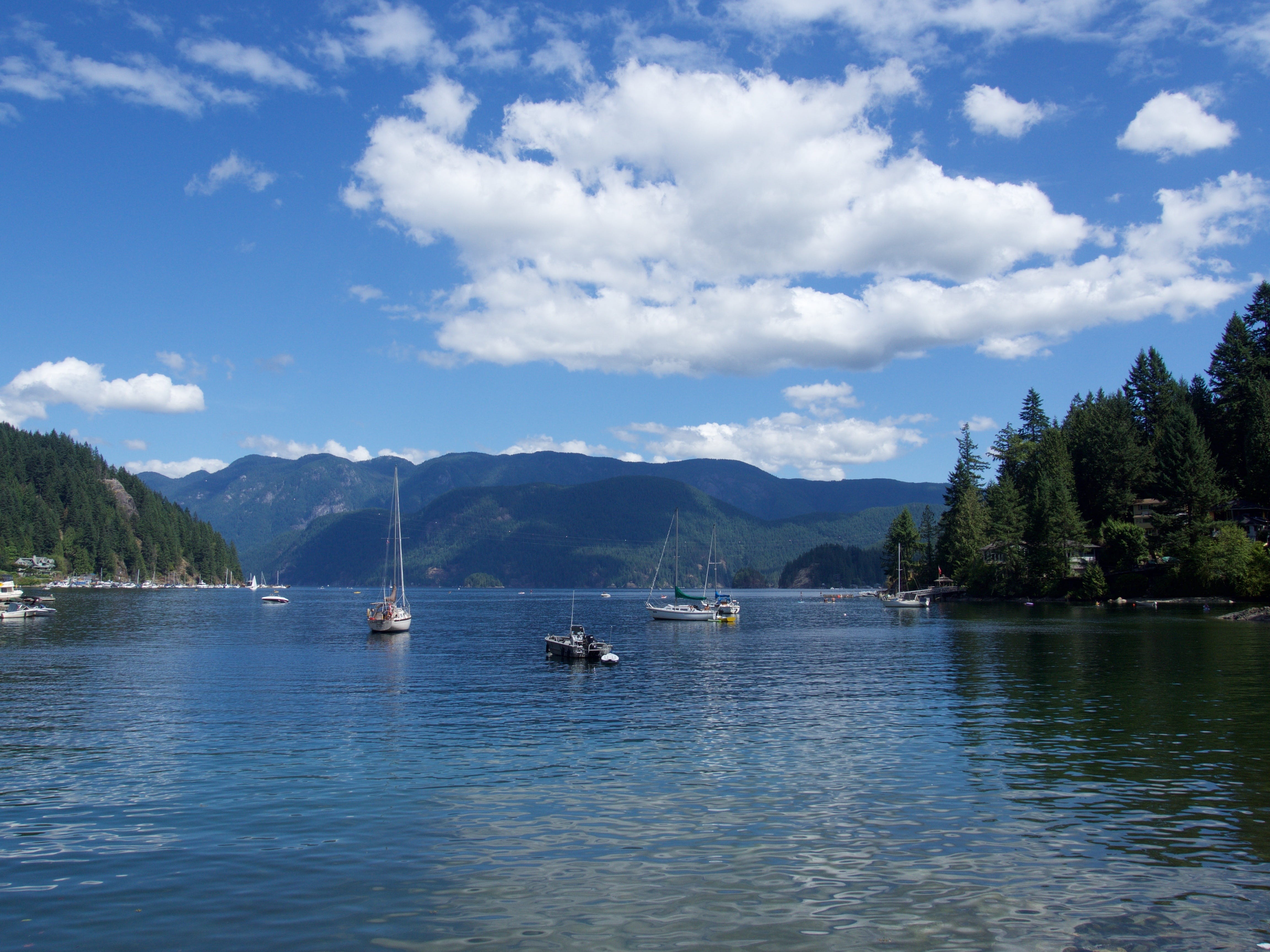 deep cove, water, tranquility, sailboat, day, transportation, tranquil scene, lake, cloud - sky, nautical vessel, waterfront, trees, plant, beauty in nature, HD Wallpaper