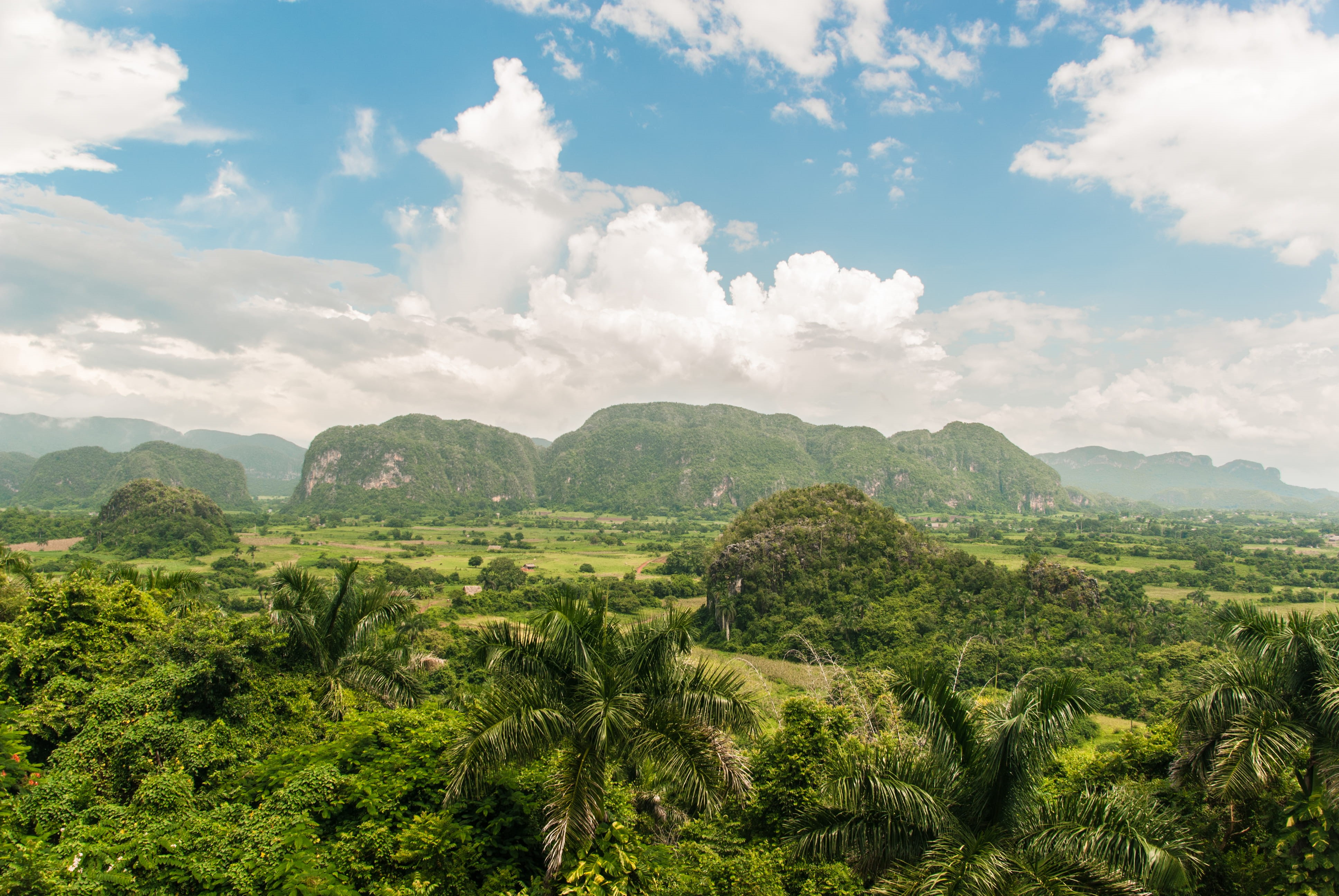 4K, lush foliage, karibik, landscape, sky, palms, tranquility, travel, cuba, scenics - nature, tranquil scene, mountain, no people, viñales, green, viñales valley, HD Wallpaper