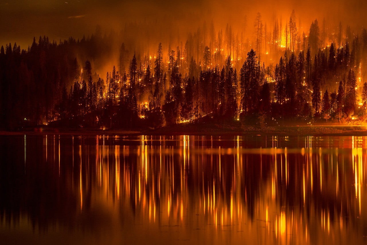 non-urban scene, orange color, lake, scenics - nature, night, plant, forest, idyllic, fire, 720P, outdoors, water, no people, nature, burning, waterfront, HD Wallpaper