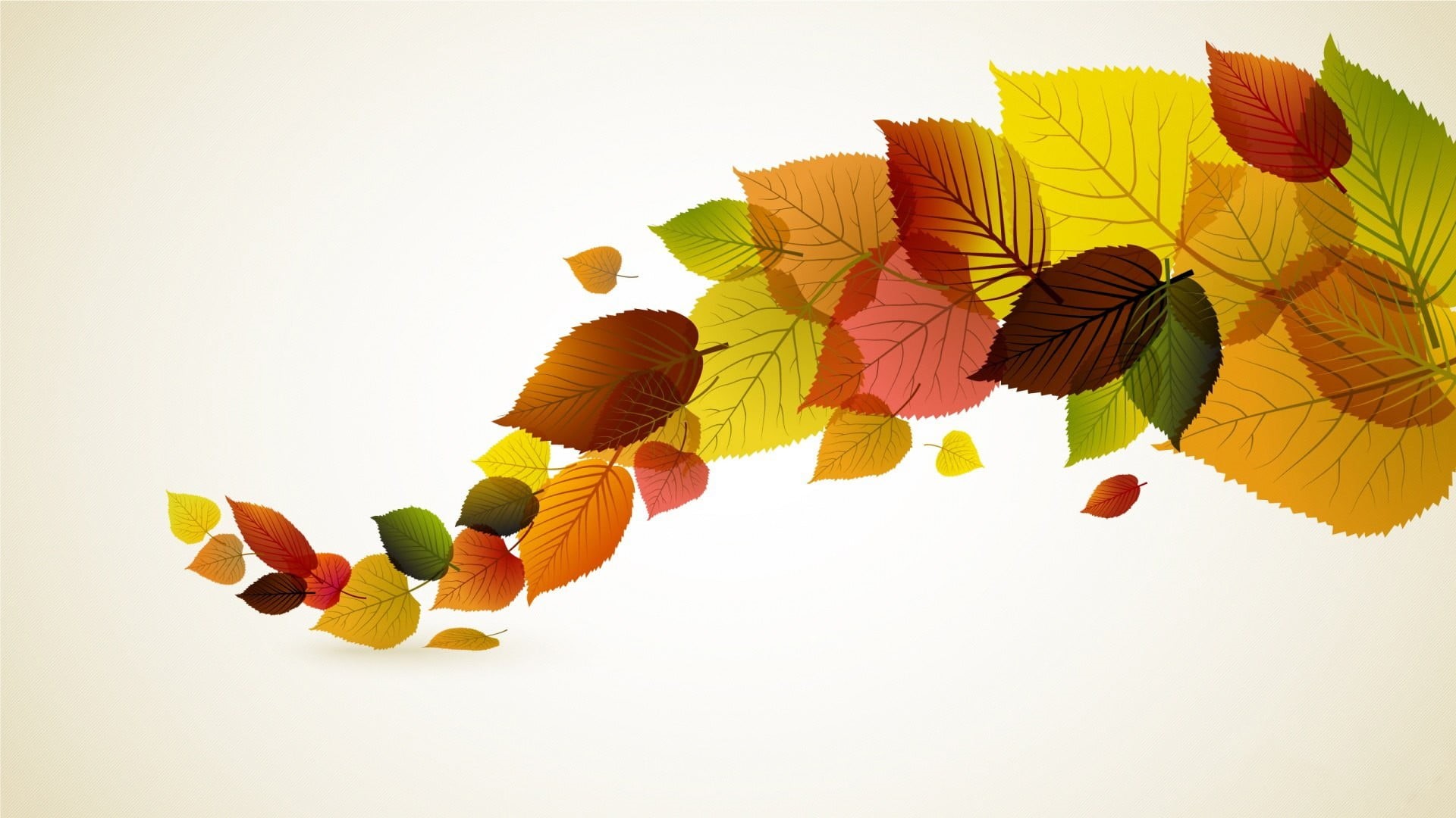  fall, minimalism, choice, orange color, studio shot, green, large group of objects, 1080P, no people, multi colored, food, leaves, white background, HD Wallpaper