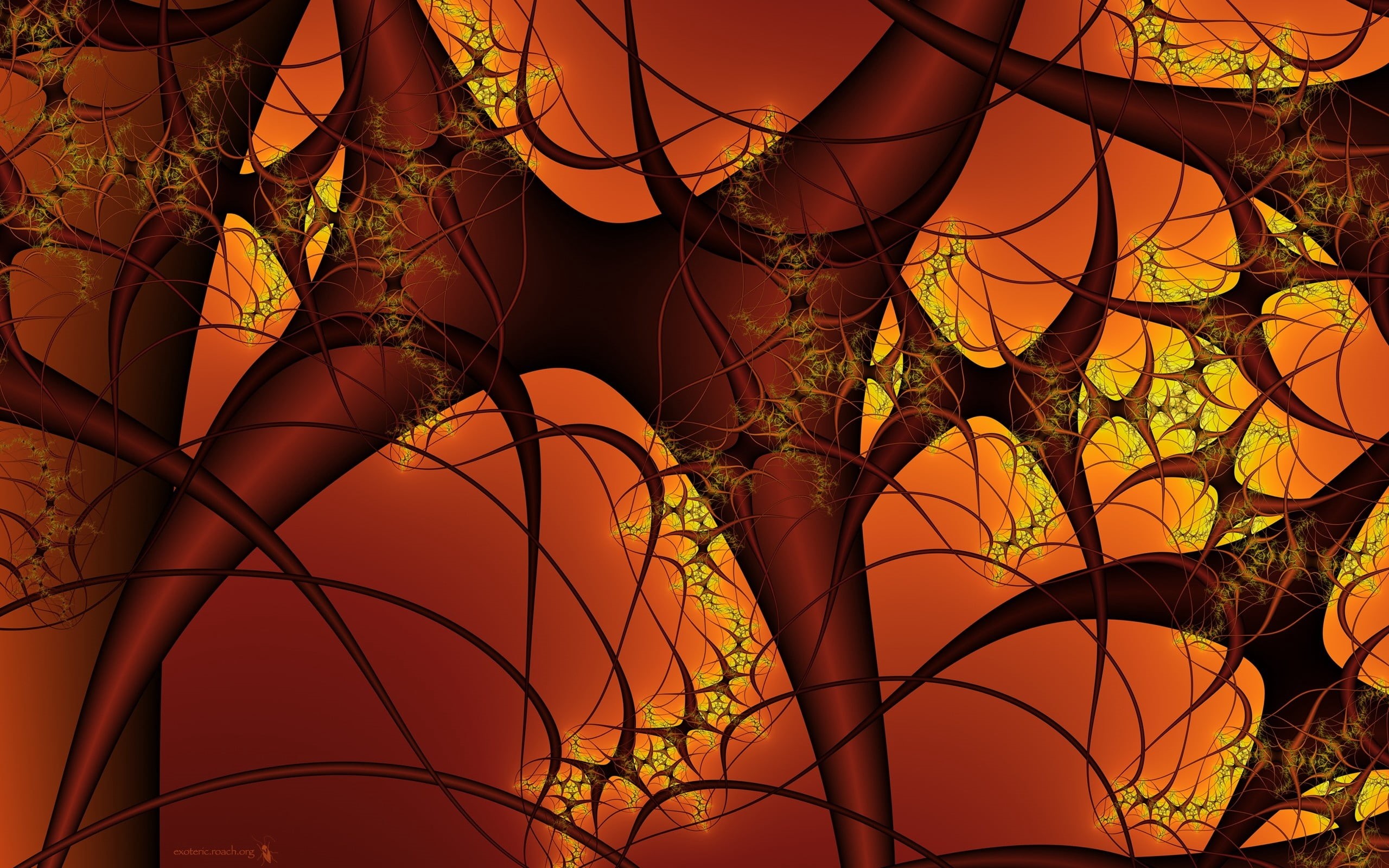 close-up, autumn, season, brown, leaf, black, blood vessels, decoration, nature, full frame, night, orange Color, backgrounds, green Color, lighting equipment, HD Wallpaper