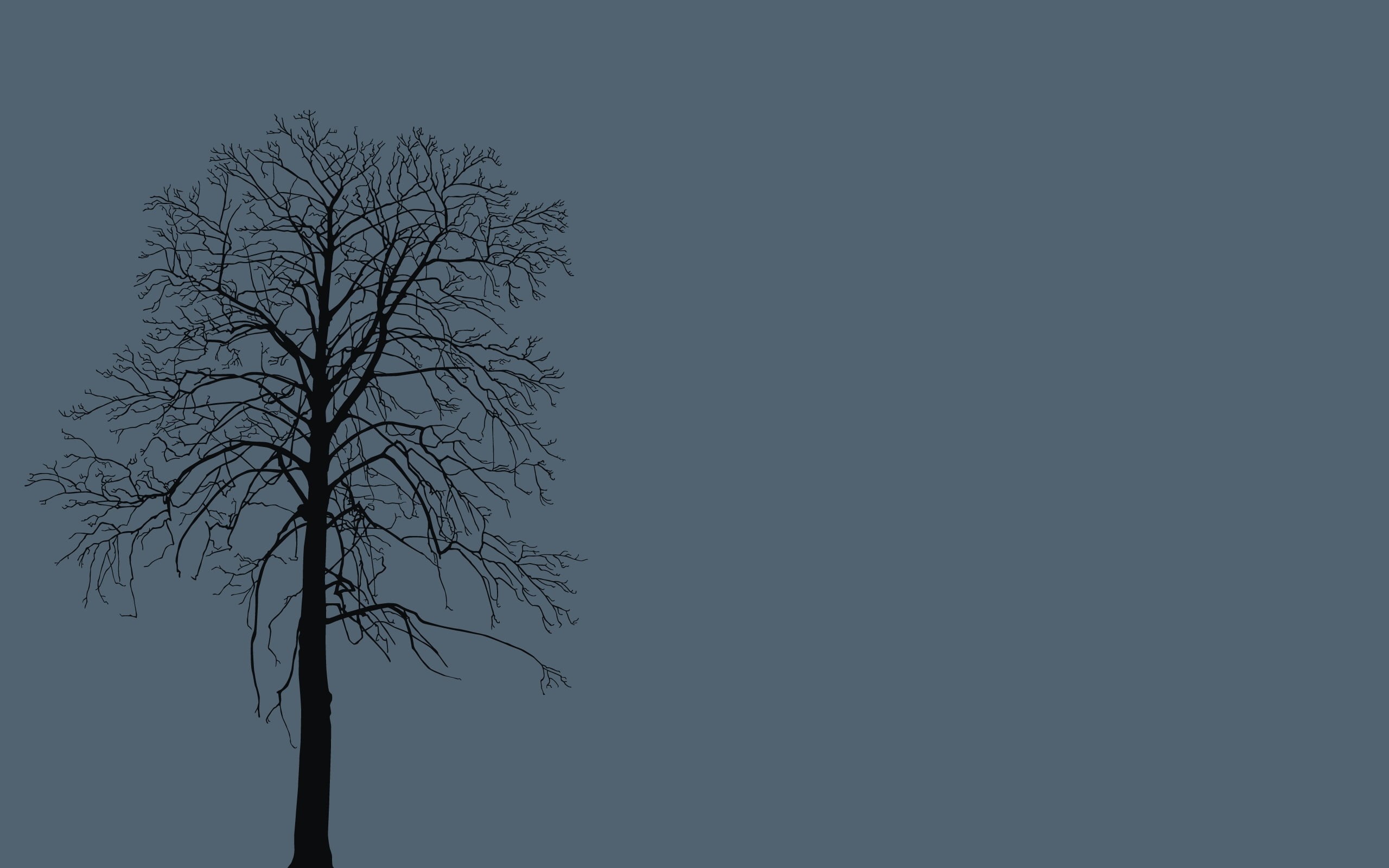 sky, black Color, day, dark, tranquility, blue, single Object, tree Trunk, no people, plant, night, copy space, nature, dead Plant, low angle view, solitude, HD Wallpaper