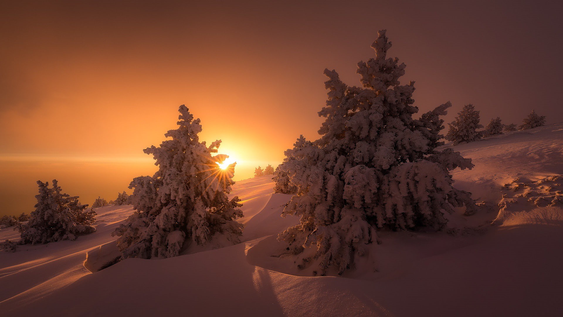 sun, 1080P, winter, snow, light, ate, trees, nature, the sun, HD Wallpaper
