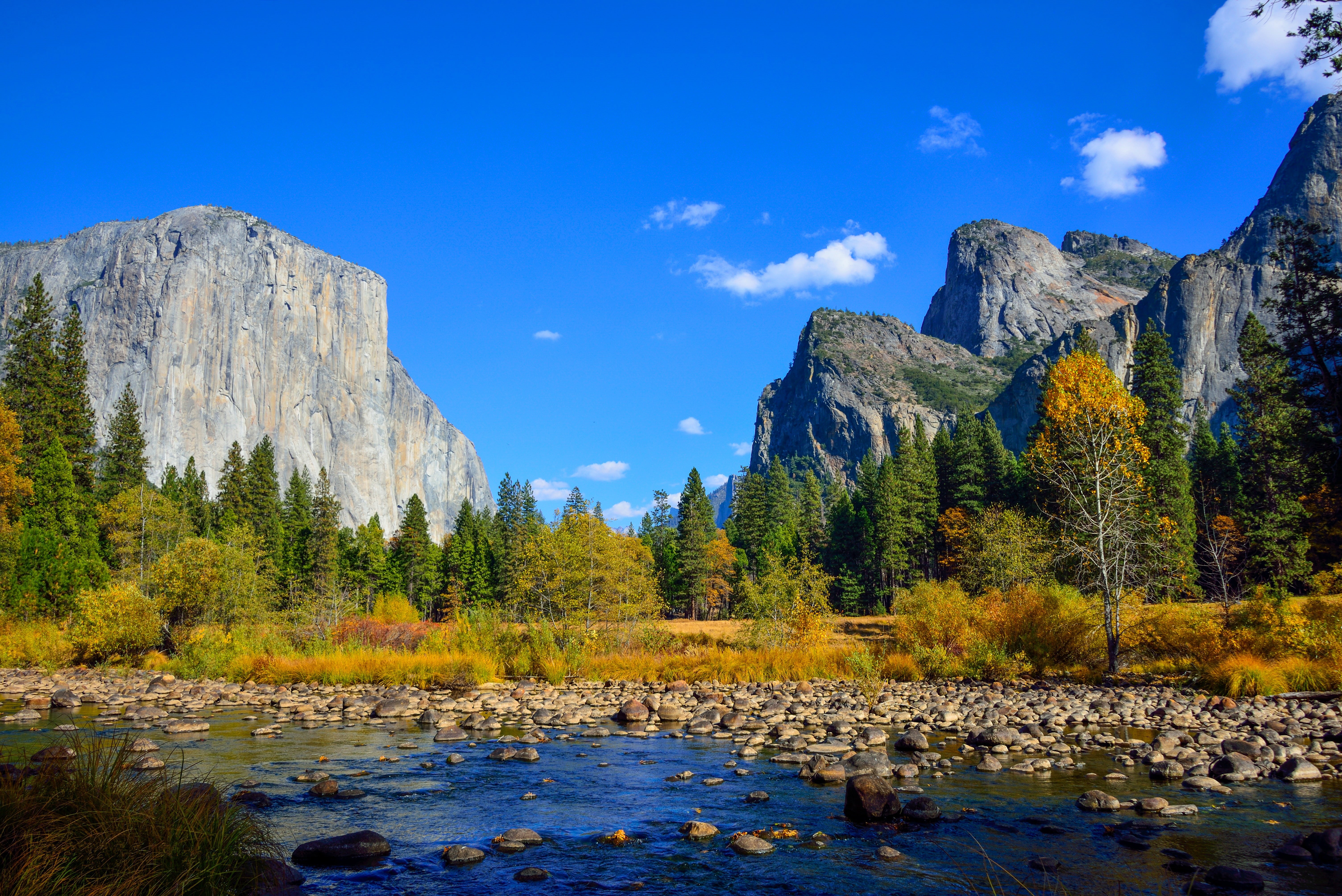 OSX, 5k, apple, 5K, mountains, Yosemite, forest, 8k, 4k, HD Wallpaper