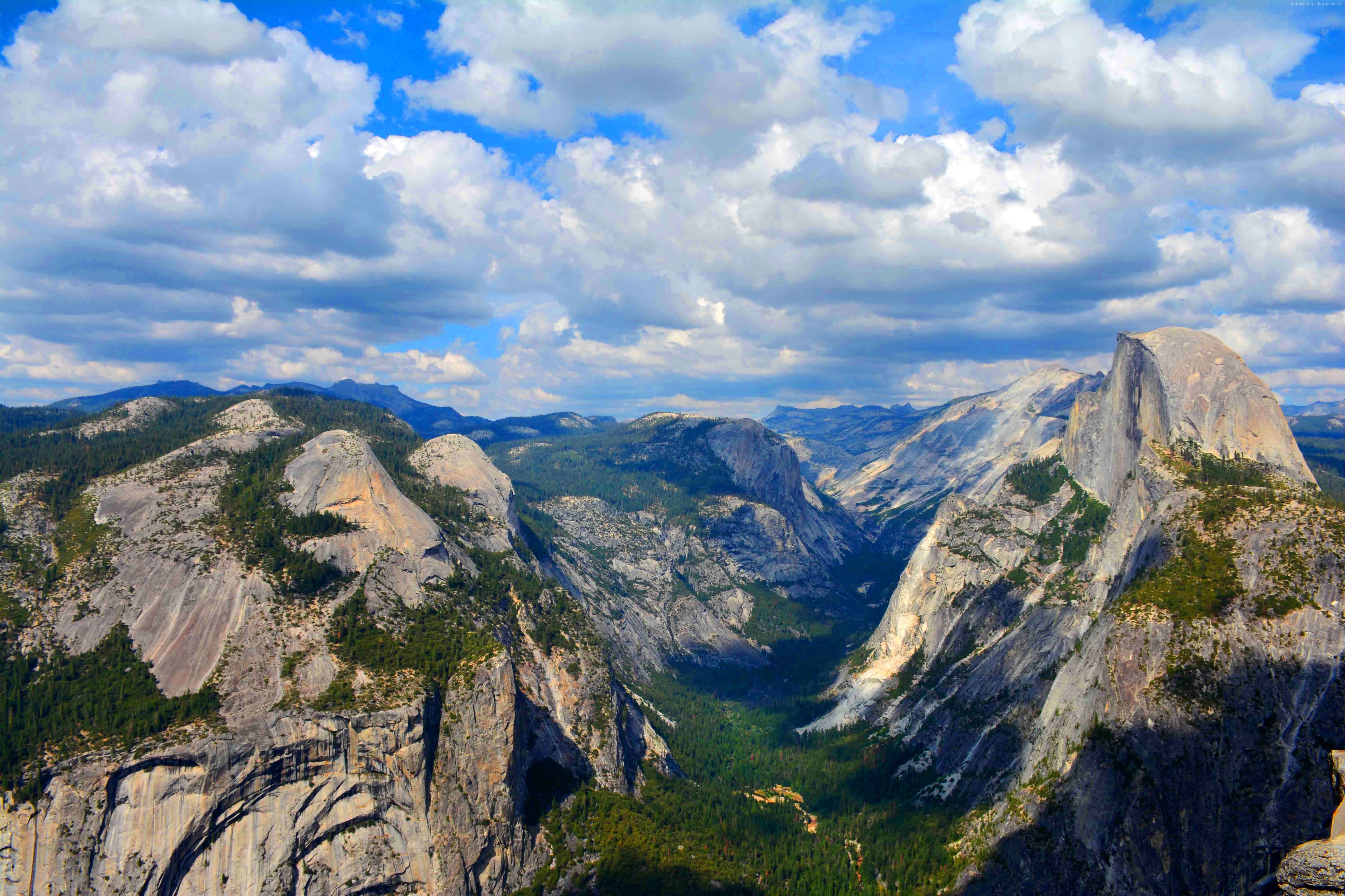 forest, OSX, Yosemite, apple, 8k, 5k, 5K, mountains, 4k, HD Wallpaper