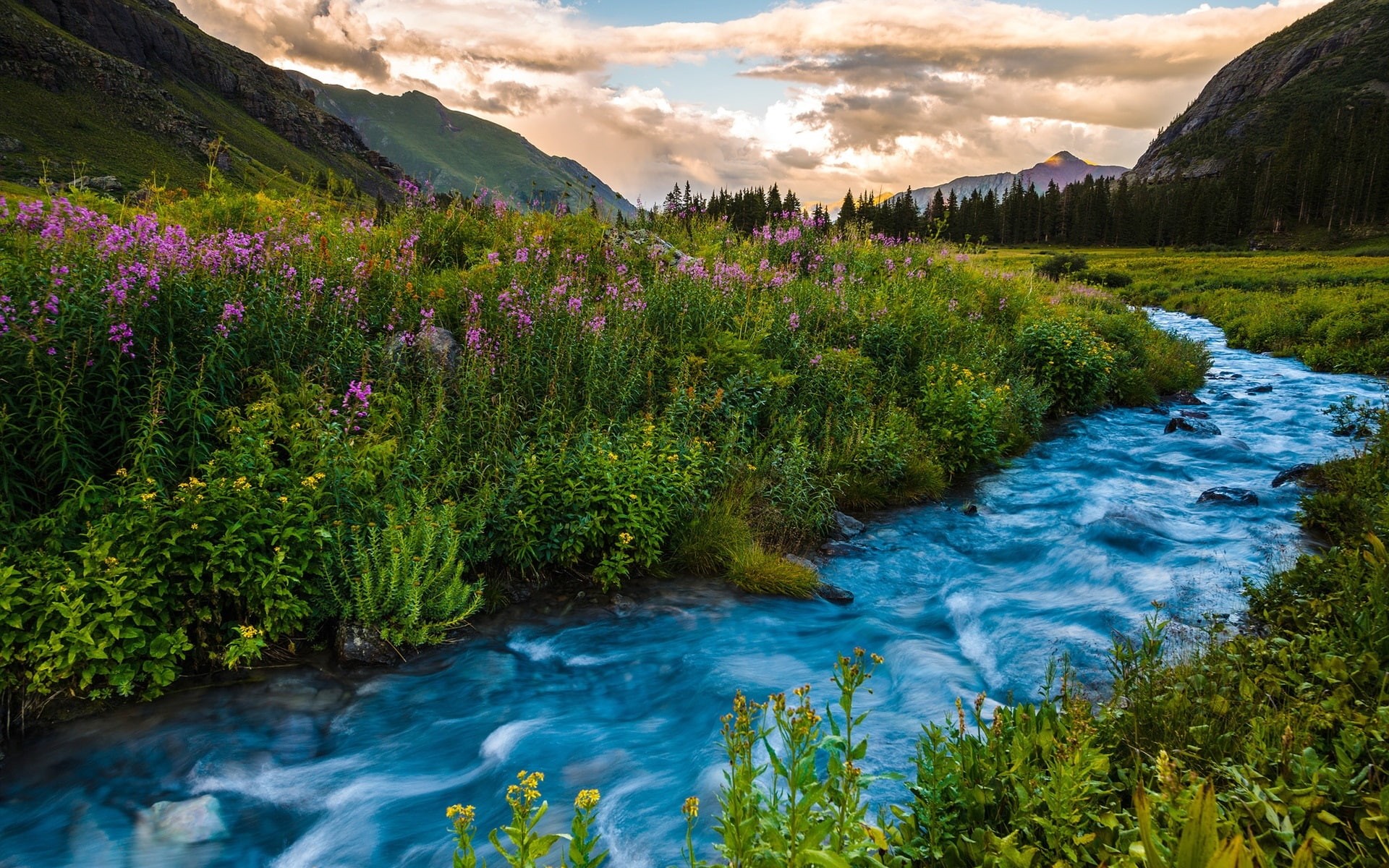Sunset, USA, River, Flowers, Clouds, 1080P, Colorado, Mountains, Summer, HD Wallpaper