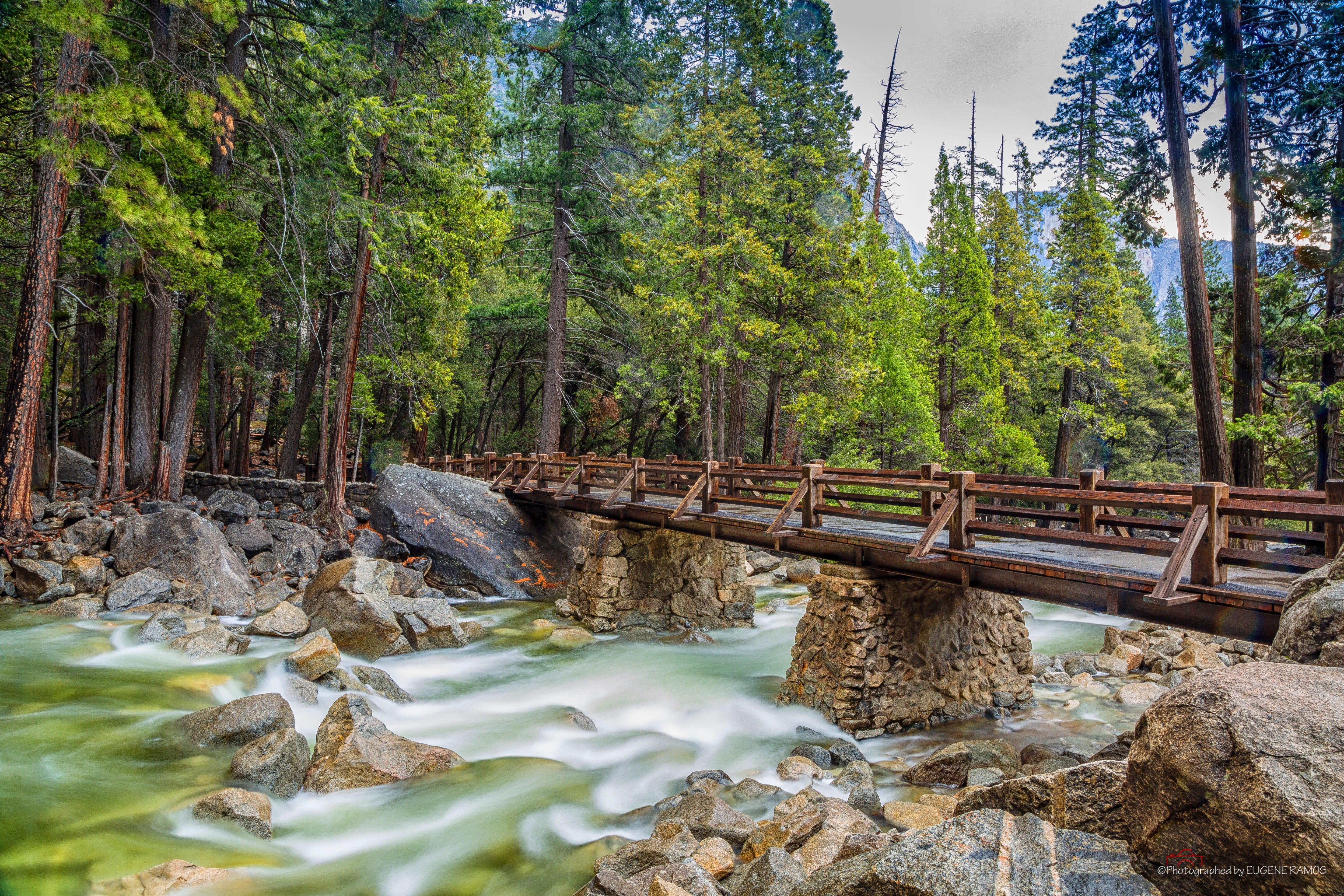 apple, Yosemite, 4k, forest, mountains, OSX, 5k, 5K, 8k, bridge, HD Wallpaper