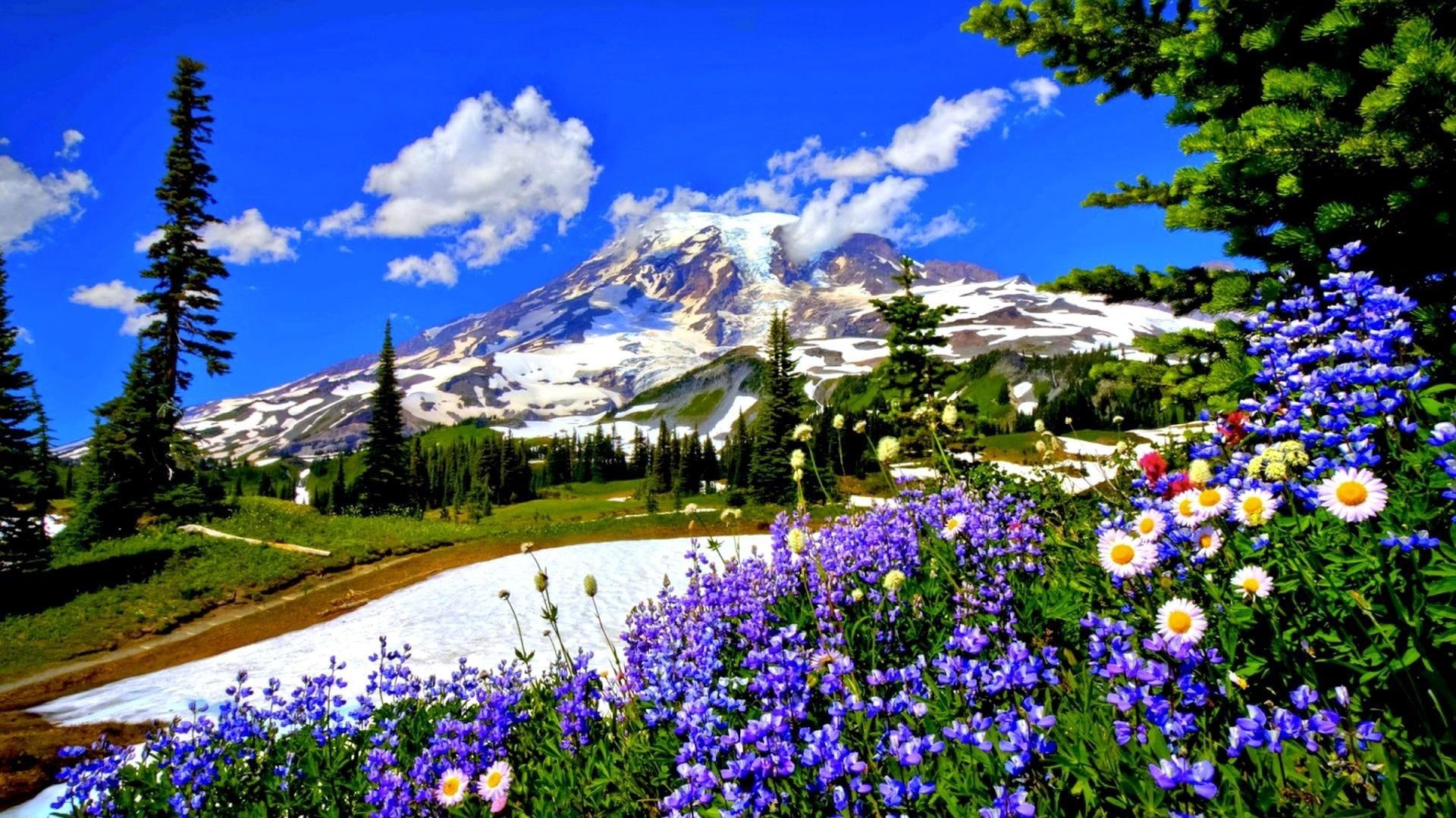 mountains, spring, sky, 1080P, flowers, flowery, flower, HD Wallpaper