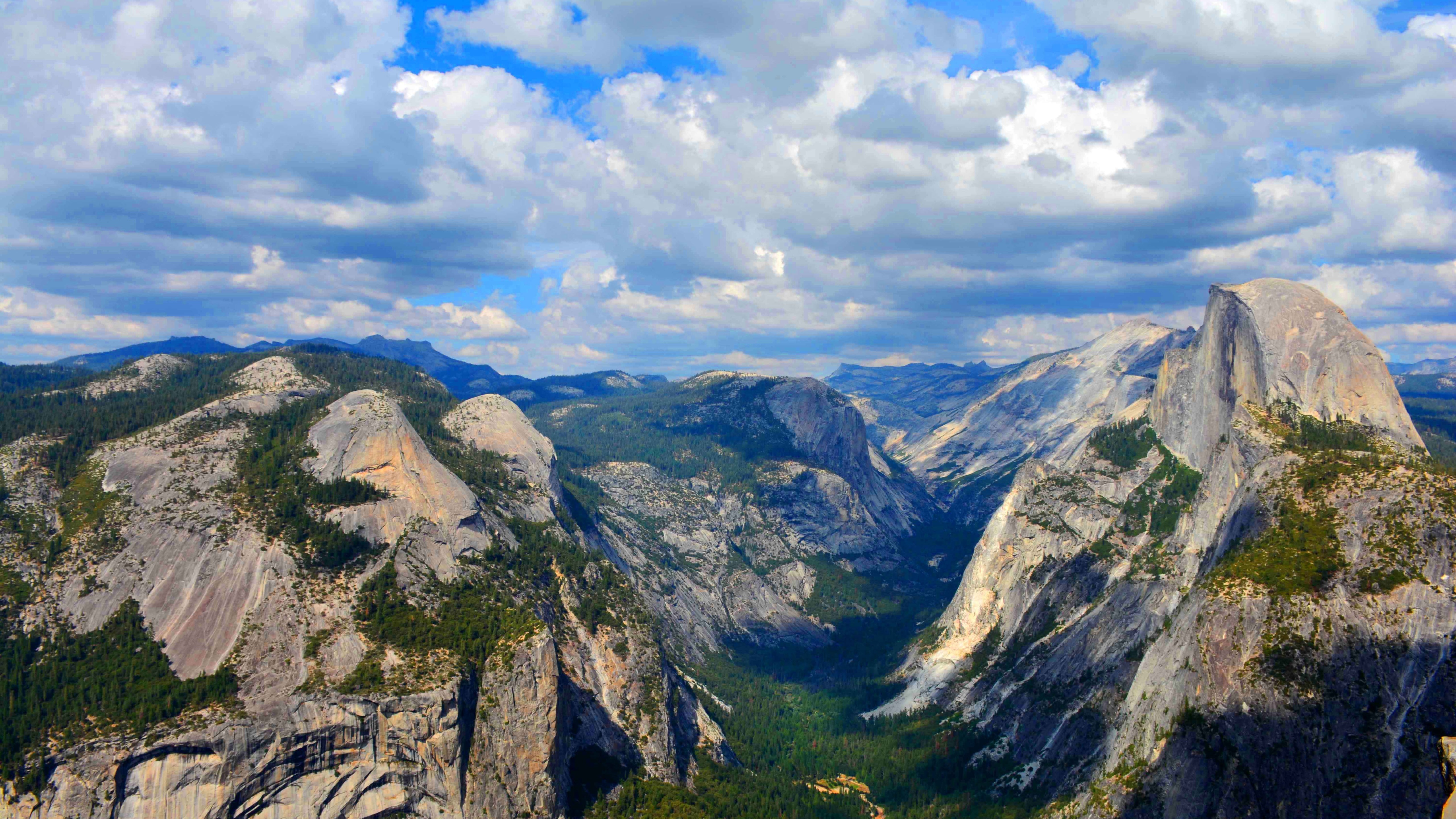 white, forest, apple, 5K, OSX, Yosemite, trees, green, 5k, mountains, clouds, 8k, HD Wallpaper