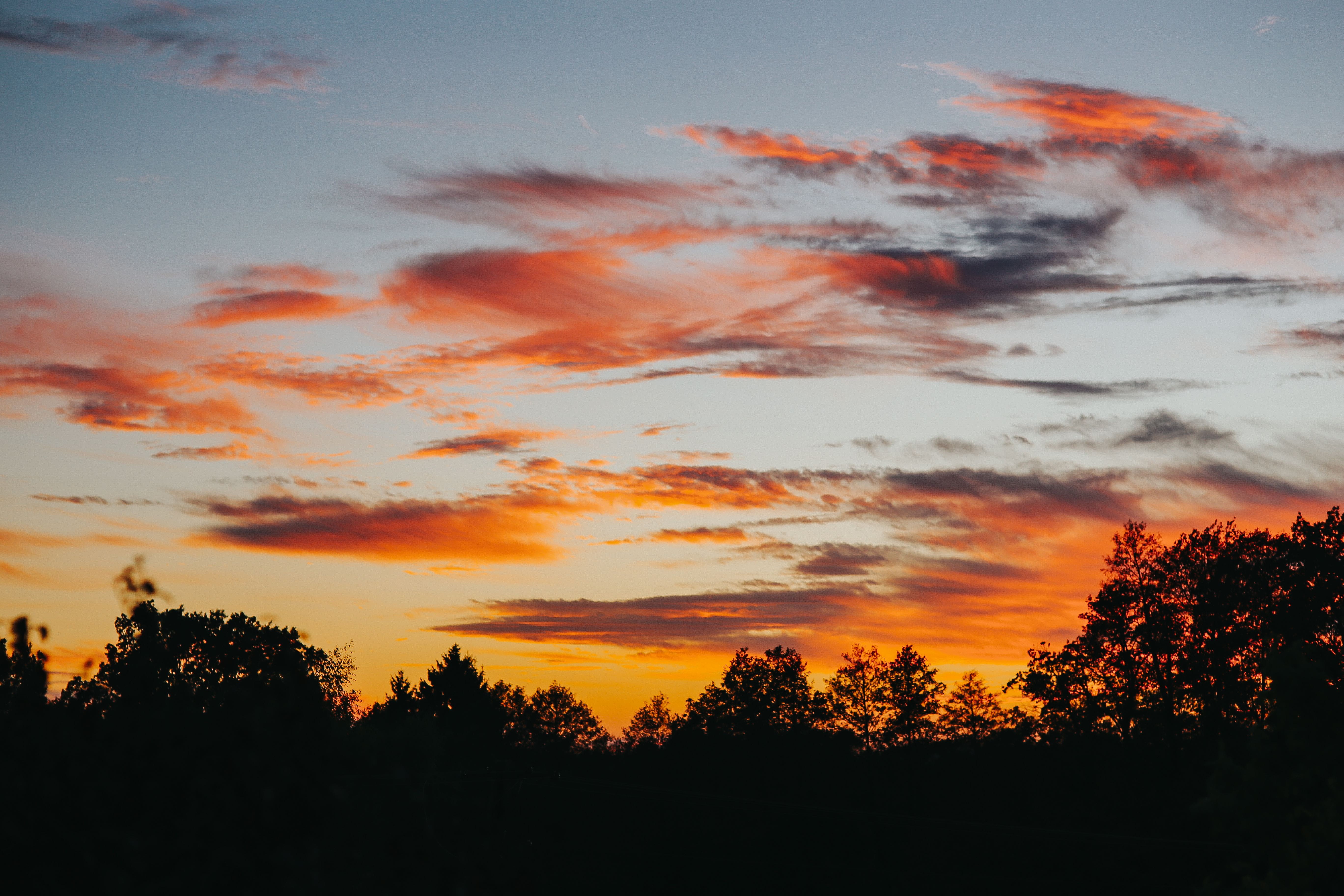 clouds, no people, tree, beauty In Nature, sun, silhouette, tranquility, low angle view, sunrise - Dawn, landscape, Sunset, growth, trees, non-urban scene, HD Wallpaper