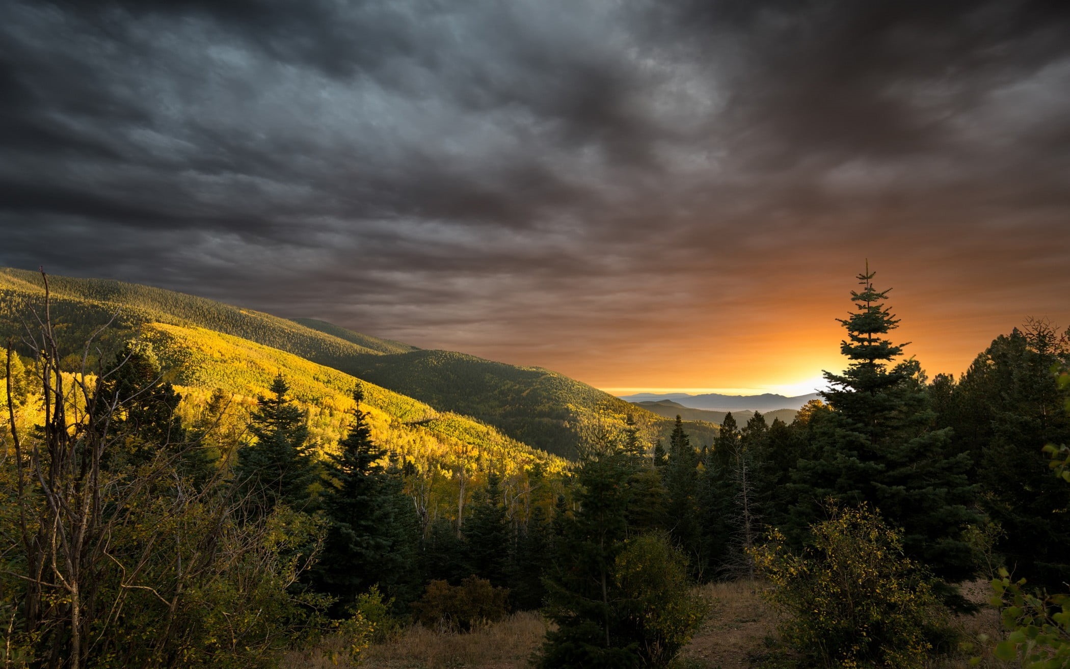 sunlight, coniferous tree, sky, no people, forest, leafed, plant, scenics - nature, mountain, fall, tranquility, idyllic, clouds, dramatic sky, tranquil scene, HD Wallpaper