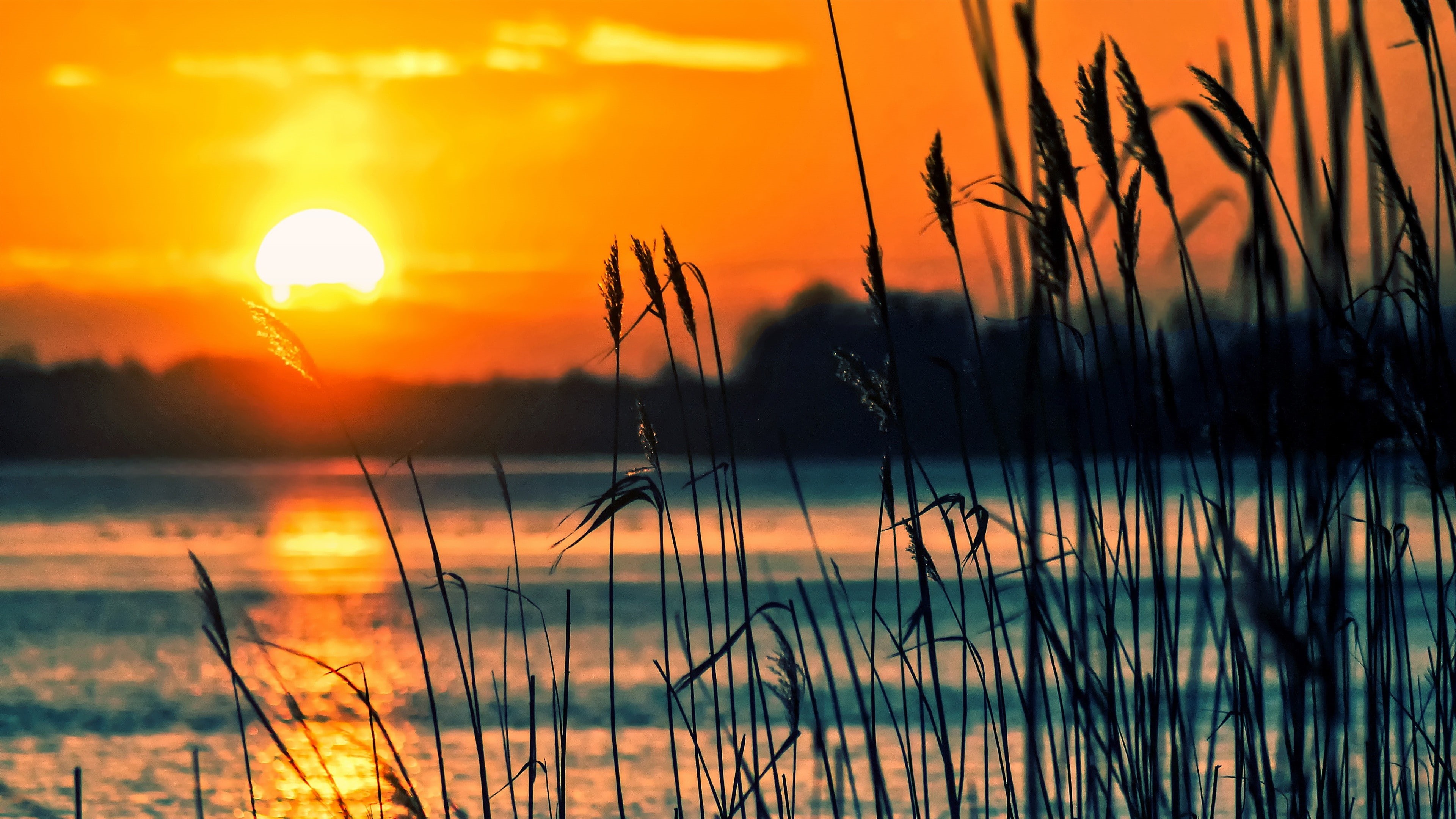 cloud - sky, dramatic sky, tranquility, romantic sky, river, lake, sunset, water, sunlight, forest, beauty in nature, 4K, sky, grass, no people, scenics - nature, HD Wallpaper